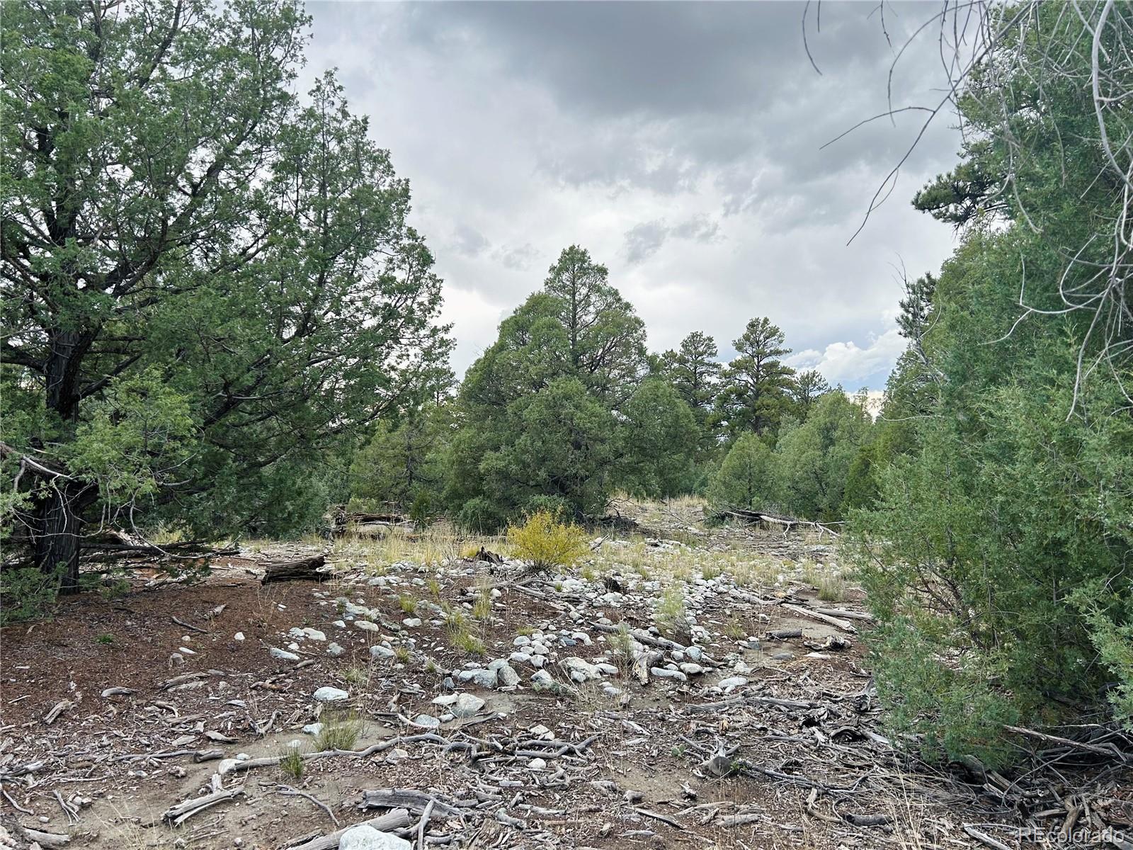 Pawnee Place Mosca CO 81146