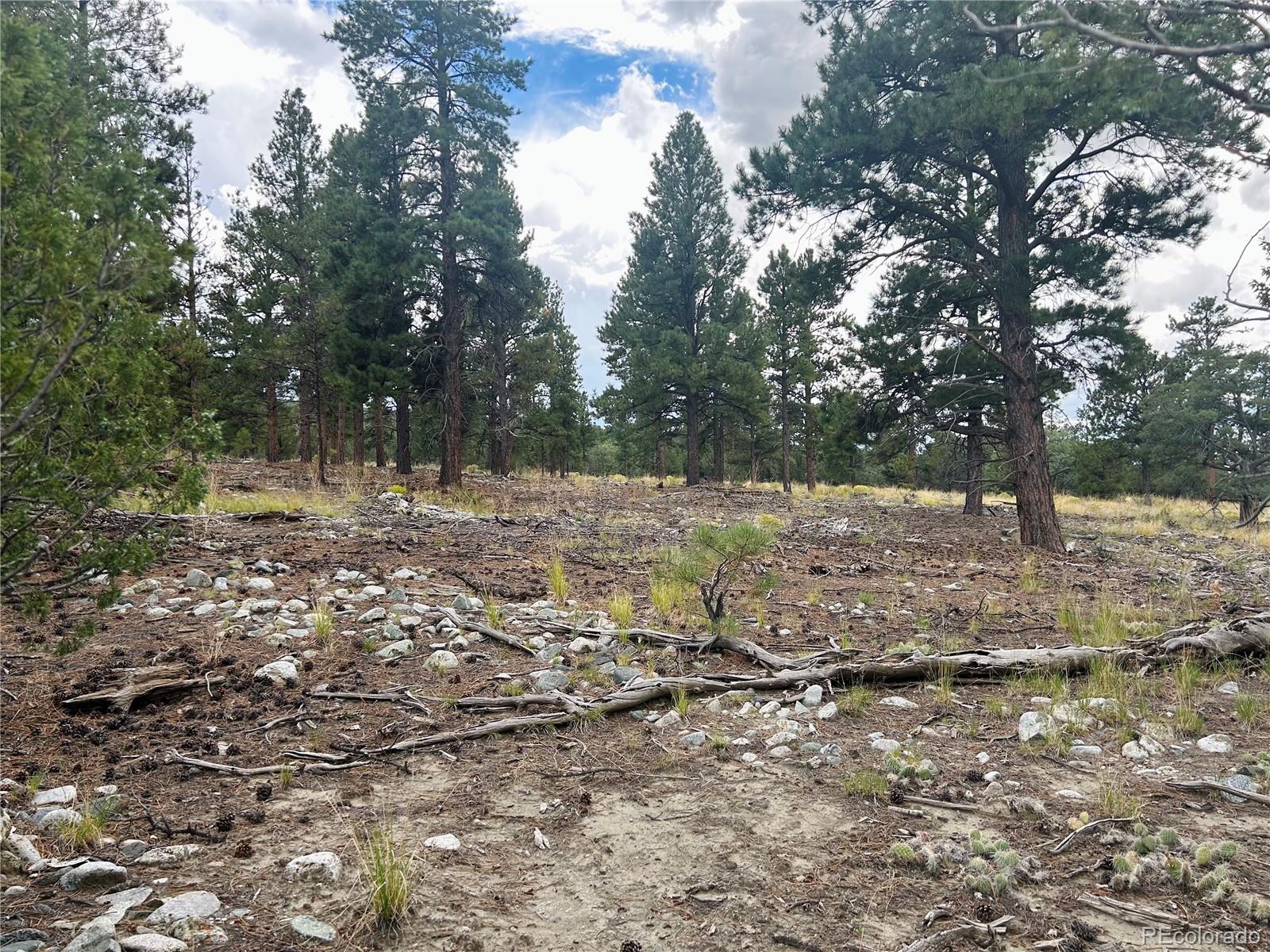 Pawnee Place Mosca CO 81146
