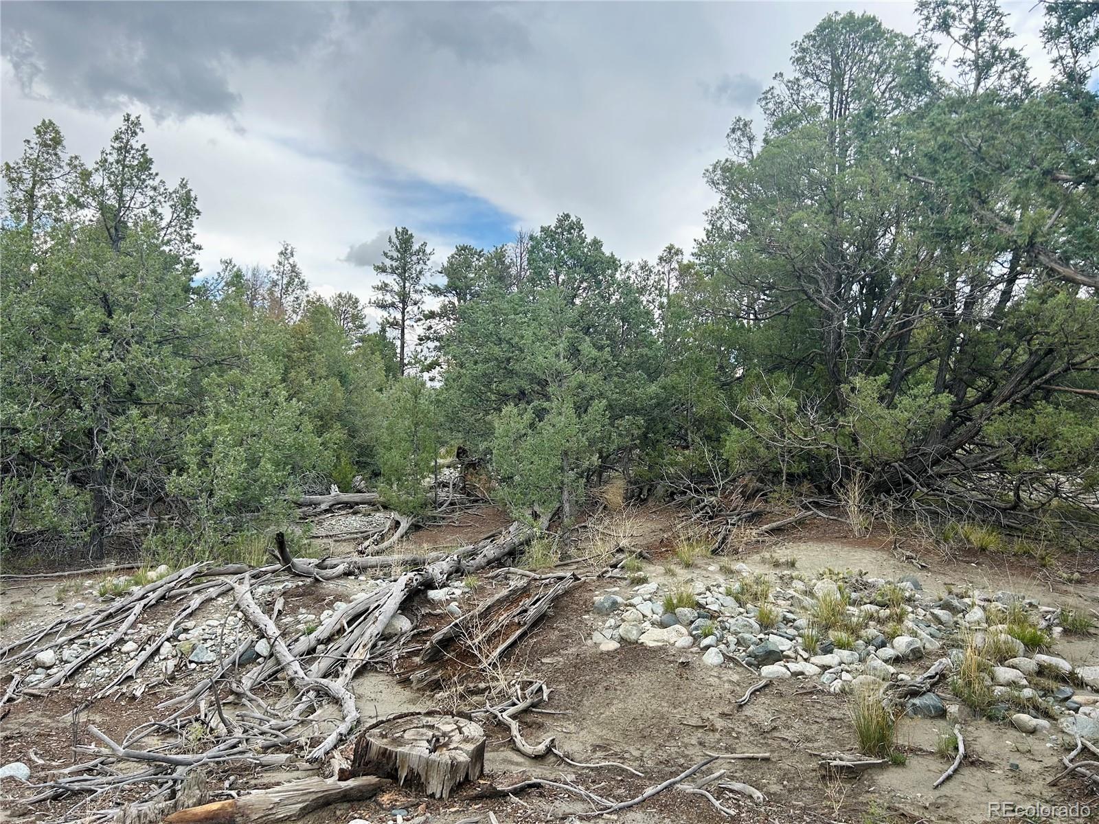Pawnee Place Mosca CO 81146