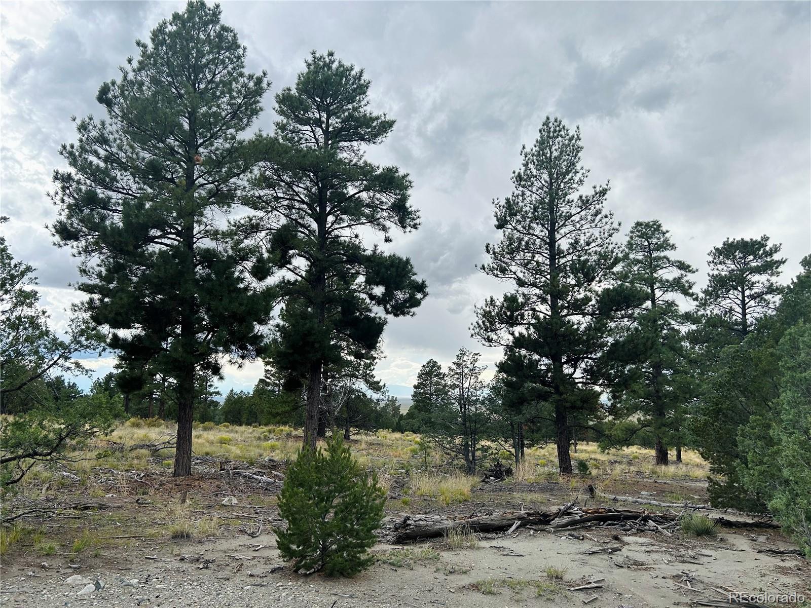 Pawnee Place Mosca CO 81146