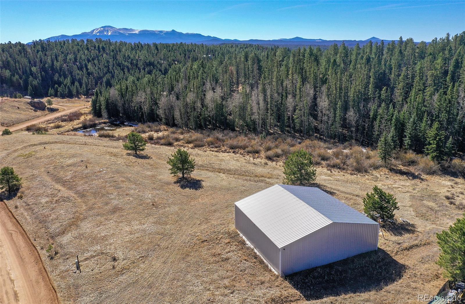 169 Saddleback Creek Drive Florissant CO 80816
