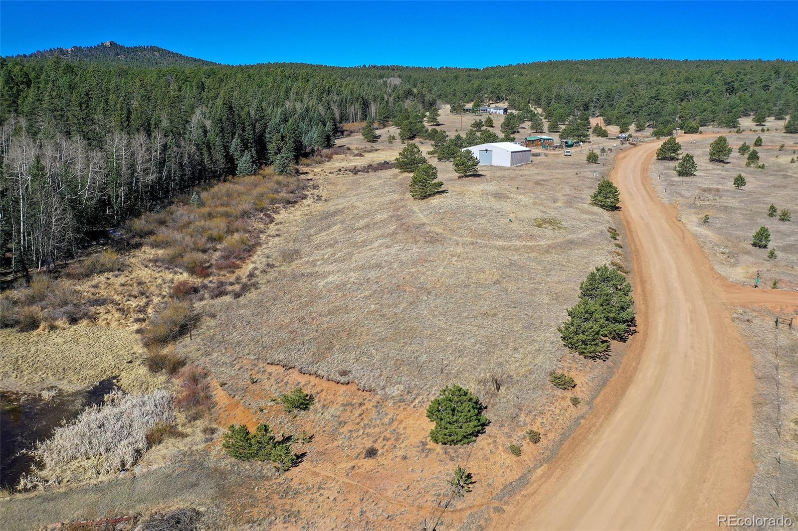 169 Saddleback Creek Drive Florissant CO 80816