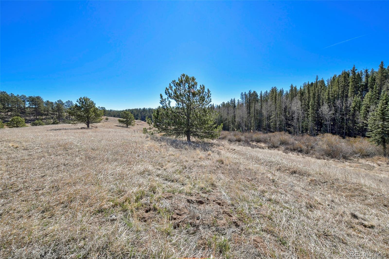169 Saddleback Creek Drive Florissant CO 80816