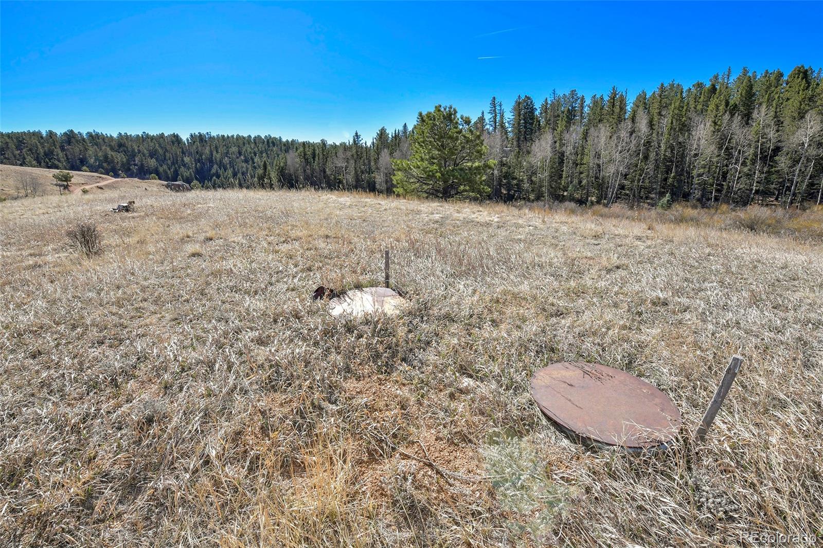 169 Saddleback Creek Drive Florissant CO 80816