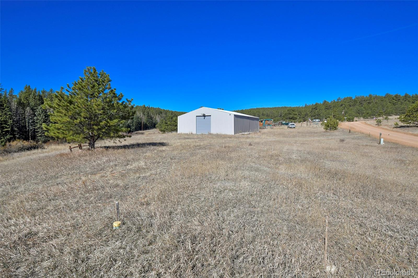 169 Saddleback Creek Drive Florissant CO 80816