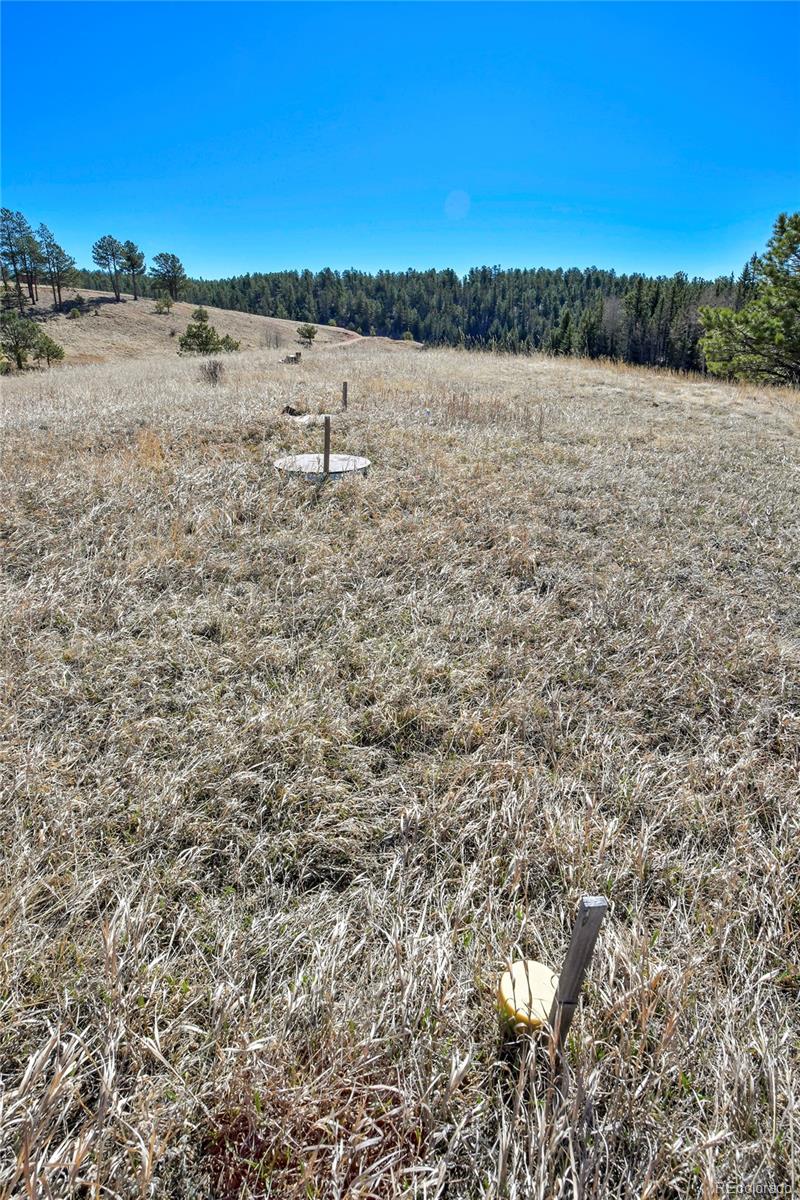 169 Saddleback Creek Drive Florissant CO 80816