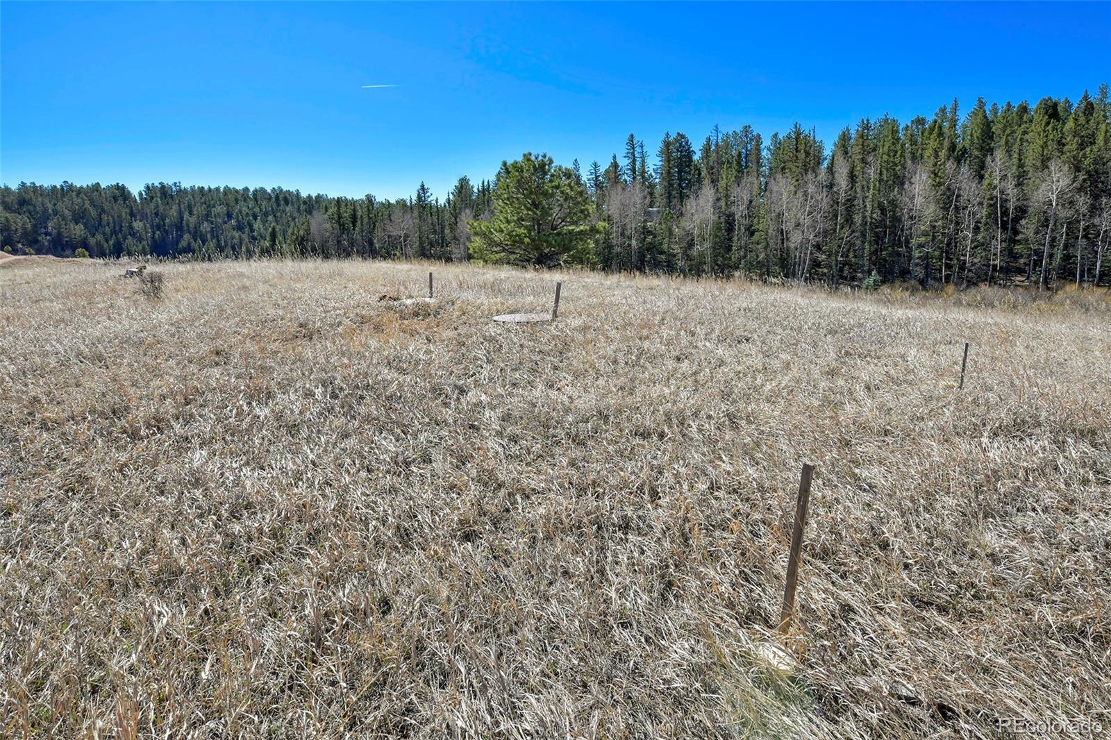 169 Saddleback Creek Drive Florissant CO 80816
