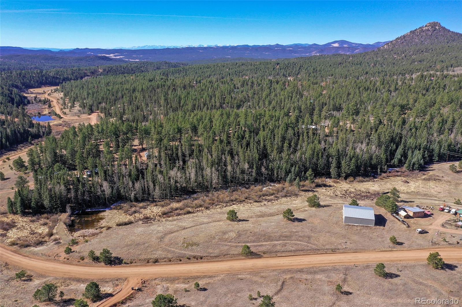 169 Saddleback Creek Drive Florissant CO 80816