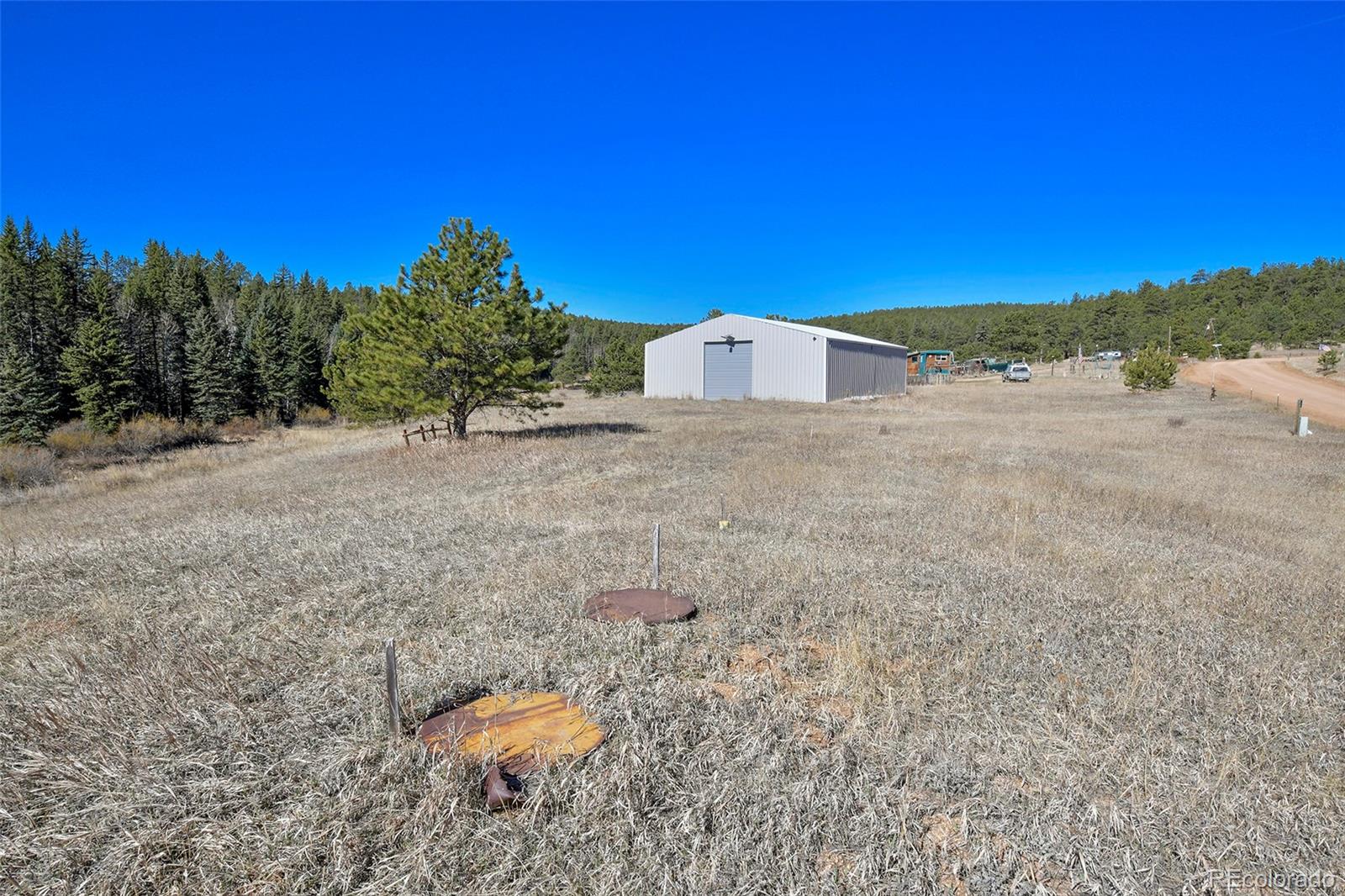 169 Saddleback Creek Drive Florissant CO 80816