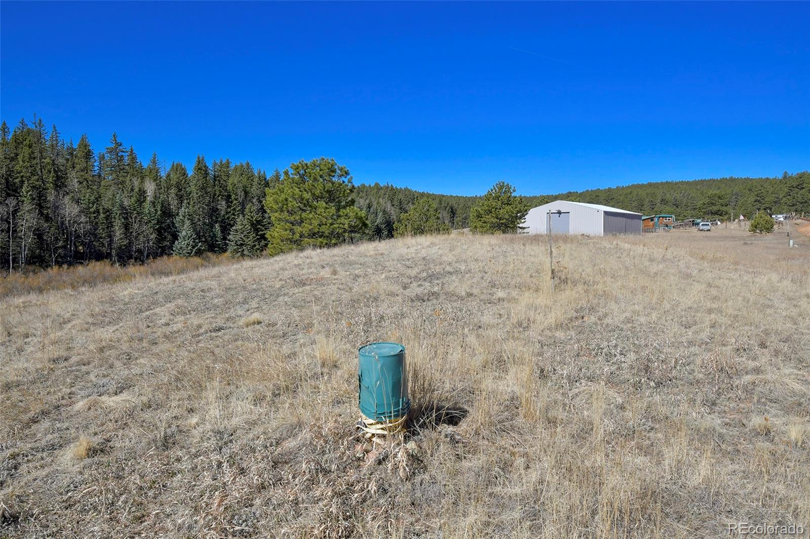 169 Saddleback Creek Drive Florissant CO 80816