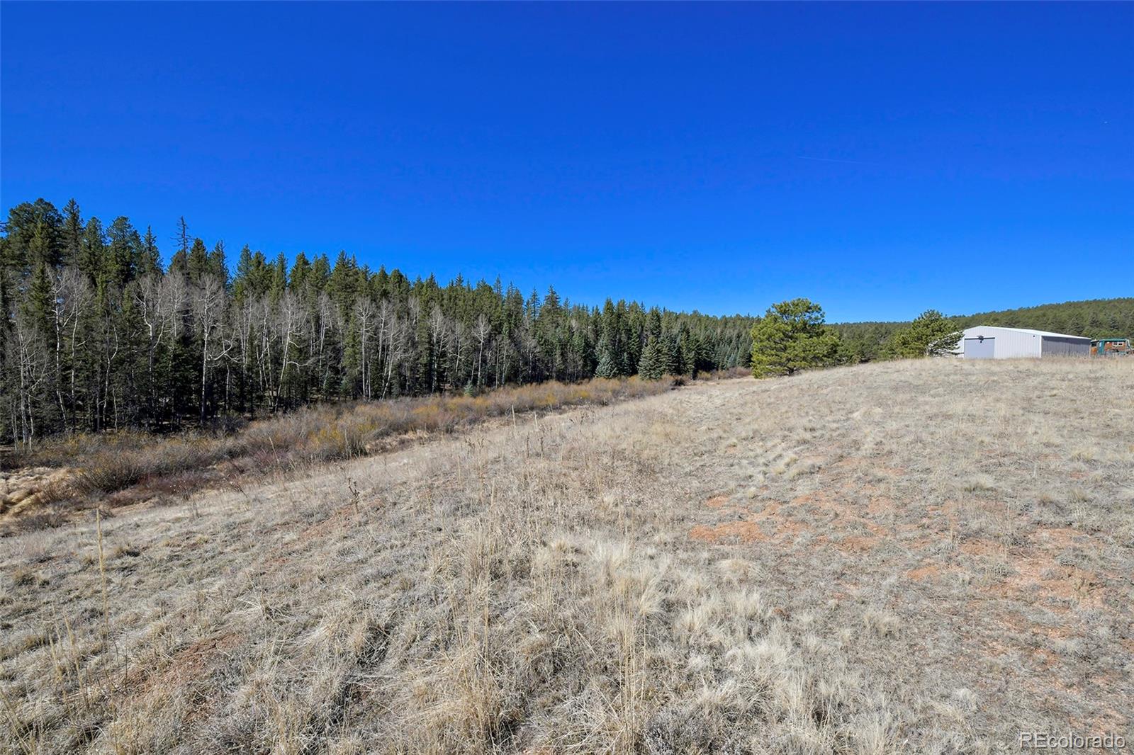 169 Saddleback Creek Drive Florissant CO 80816