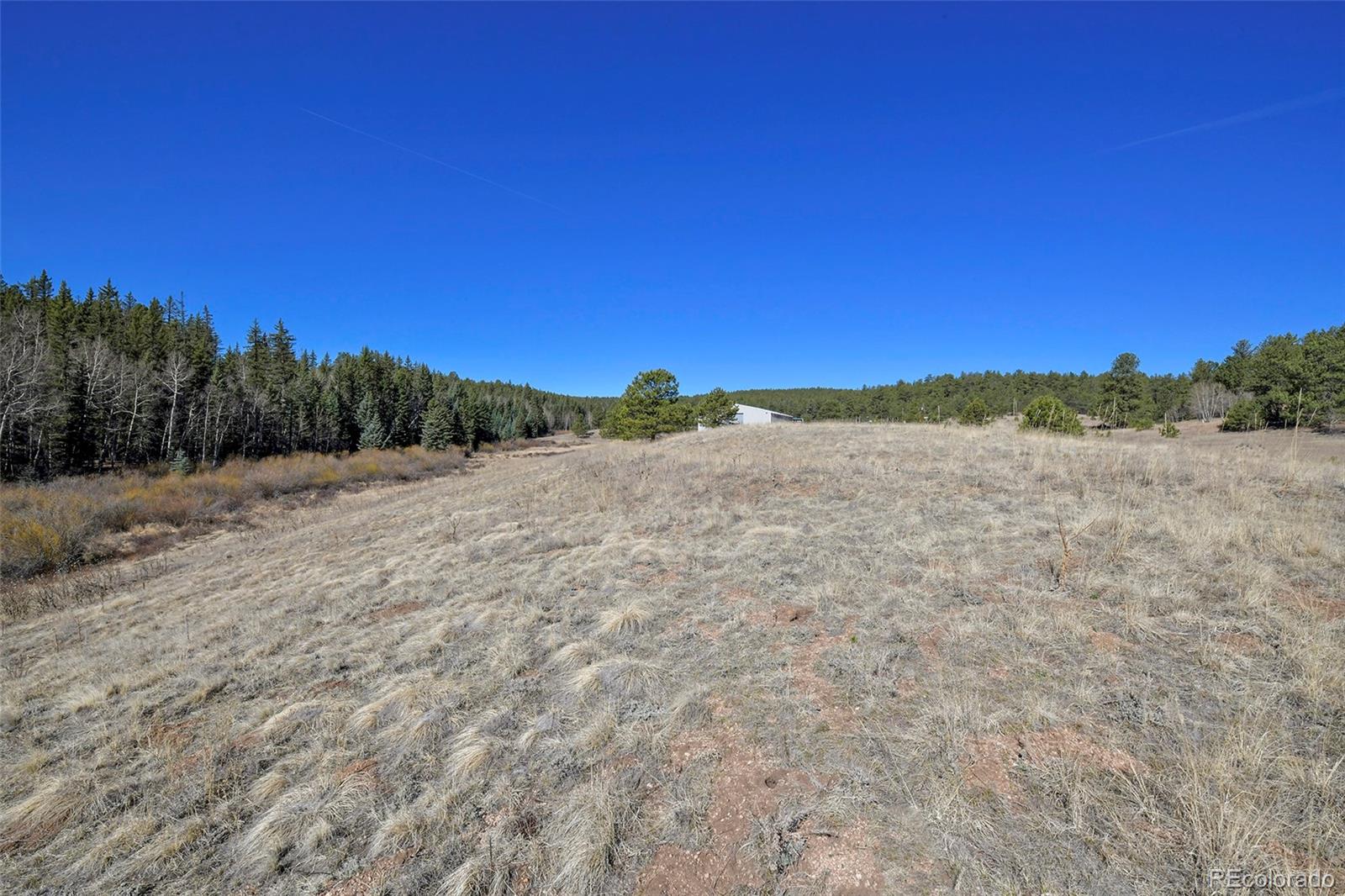169 Saddleback Creek Drive Florissant CO 80816