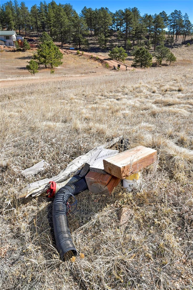 169 Saddleback Creek Drive Florissant CO 80816