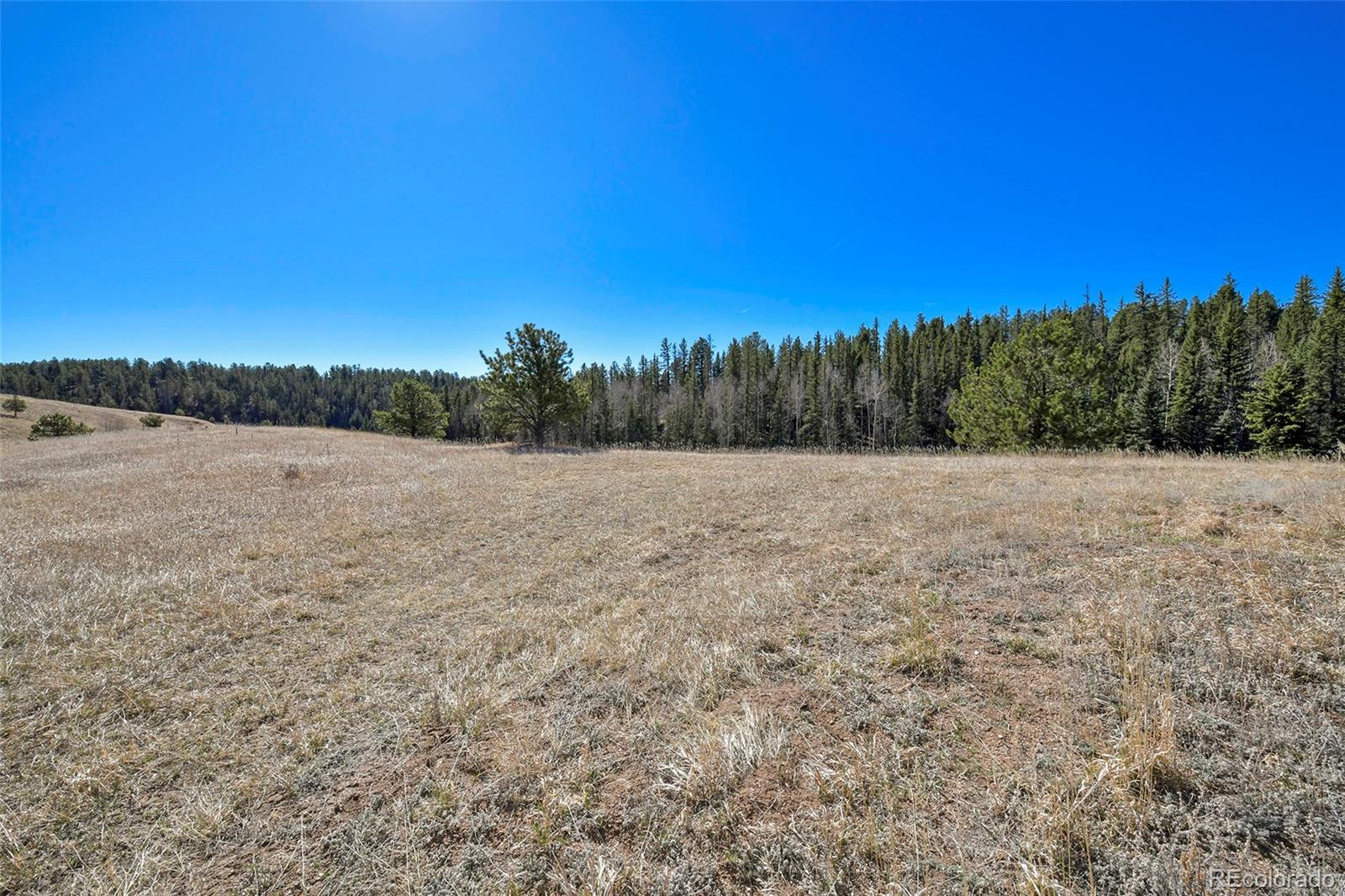 169 Saddleback Creek Drive Florissant CO 80816