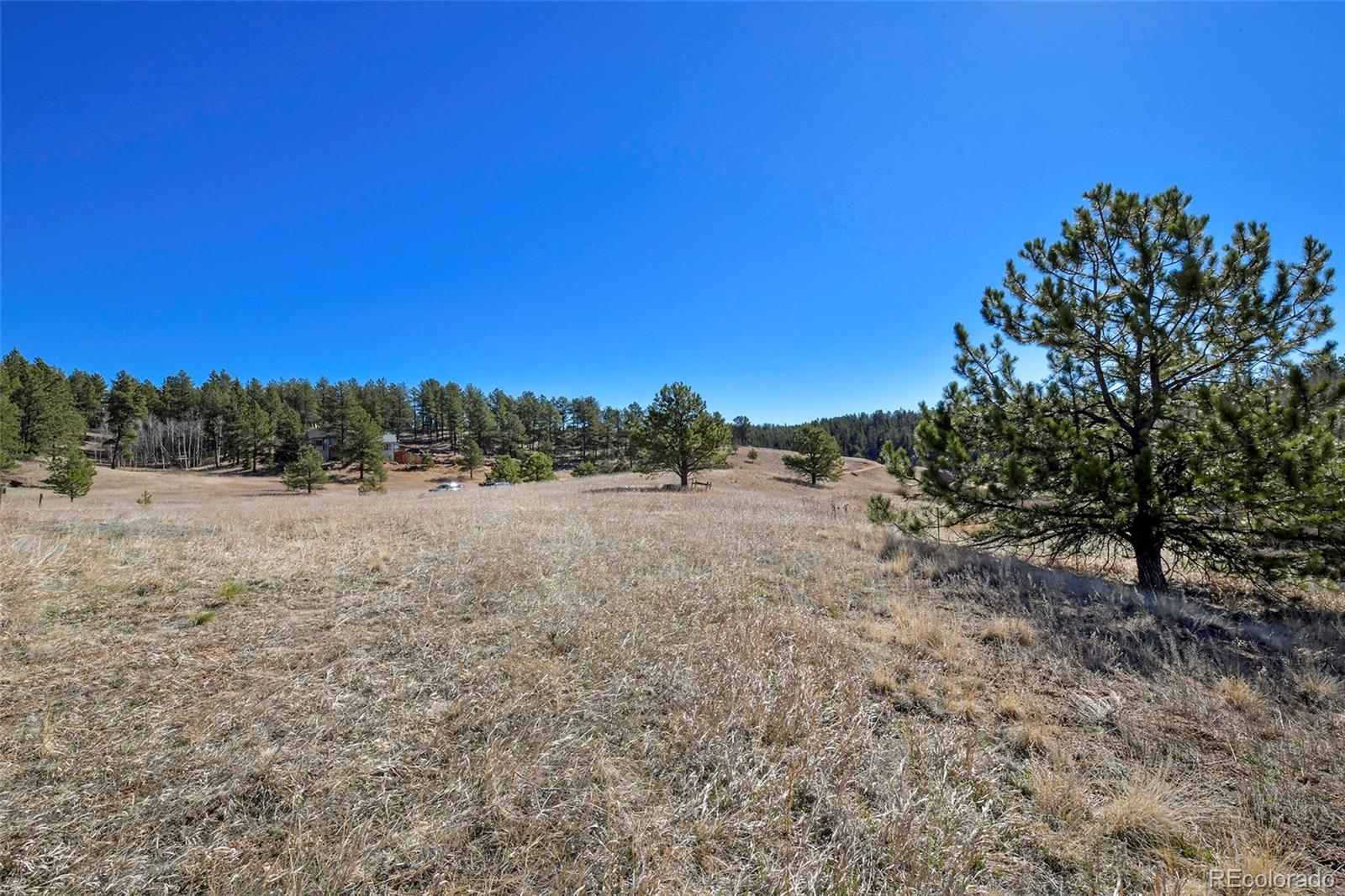 169 Saddleback Creek Drive Florissant CO 80816