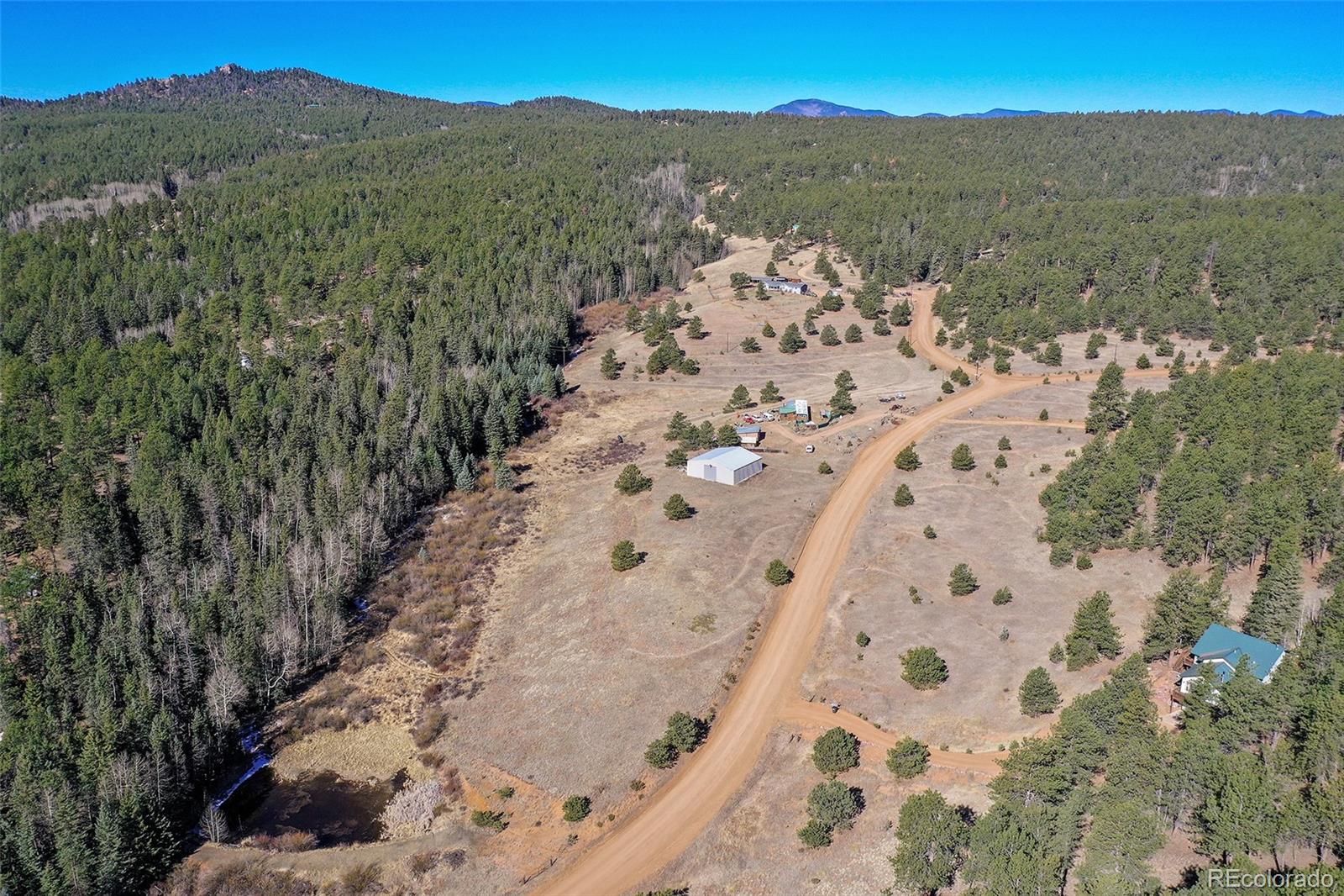 169 Saddleback Creek Drive Florissant CO 80816