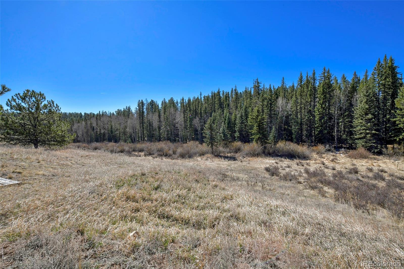 169 Saddleback Creek Drive Florissant CO 80816