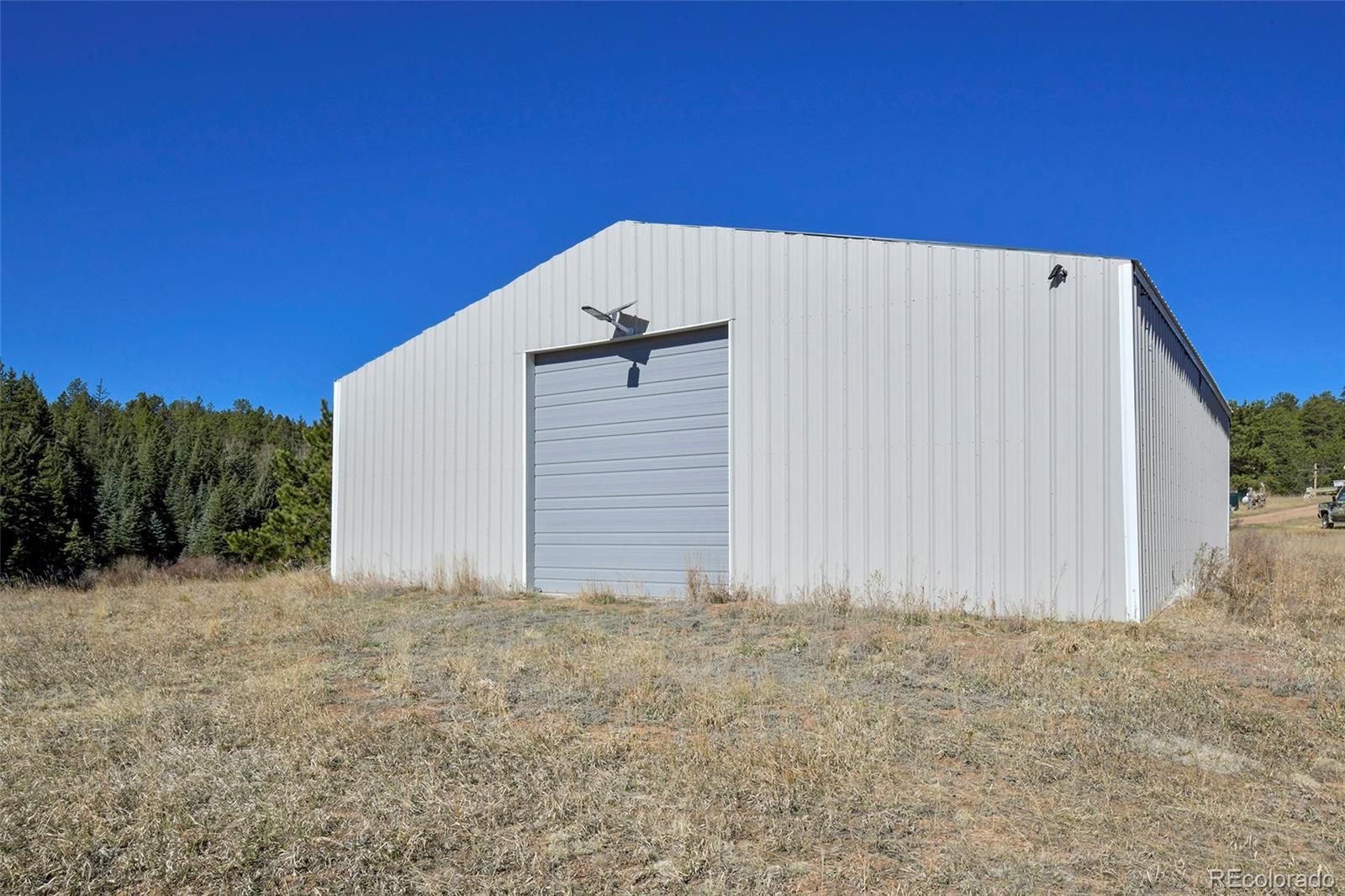 169 Saddleback Creek Drive Florissant CO 80816