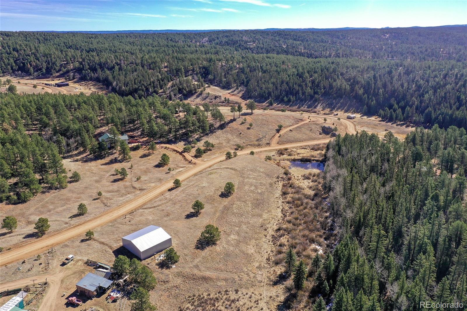 169 Saddleback Creek Drive Florissant CO 80816