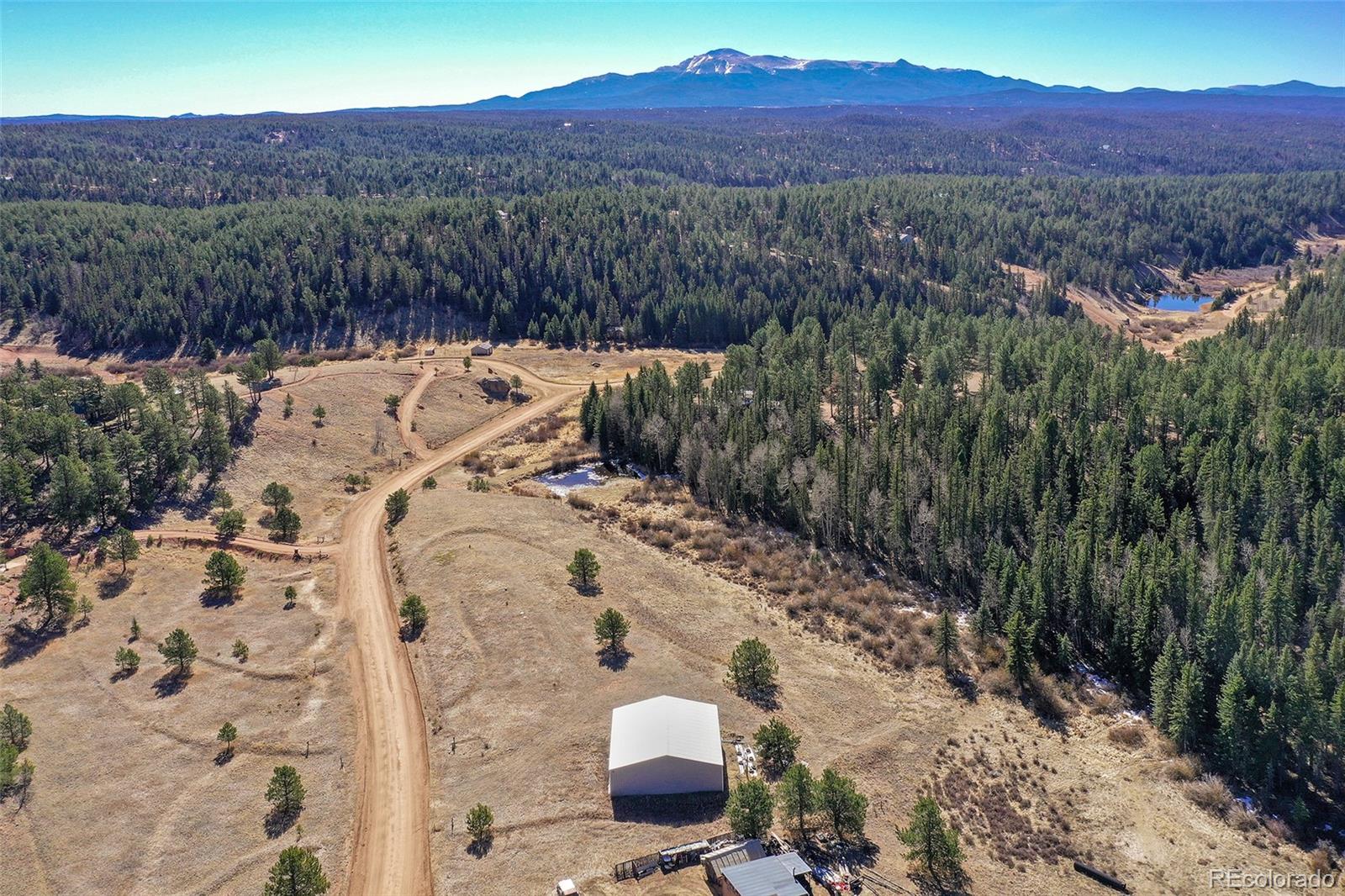 169 Saddleback Creek Drive Florissant CO 80816
