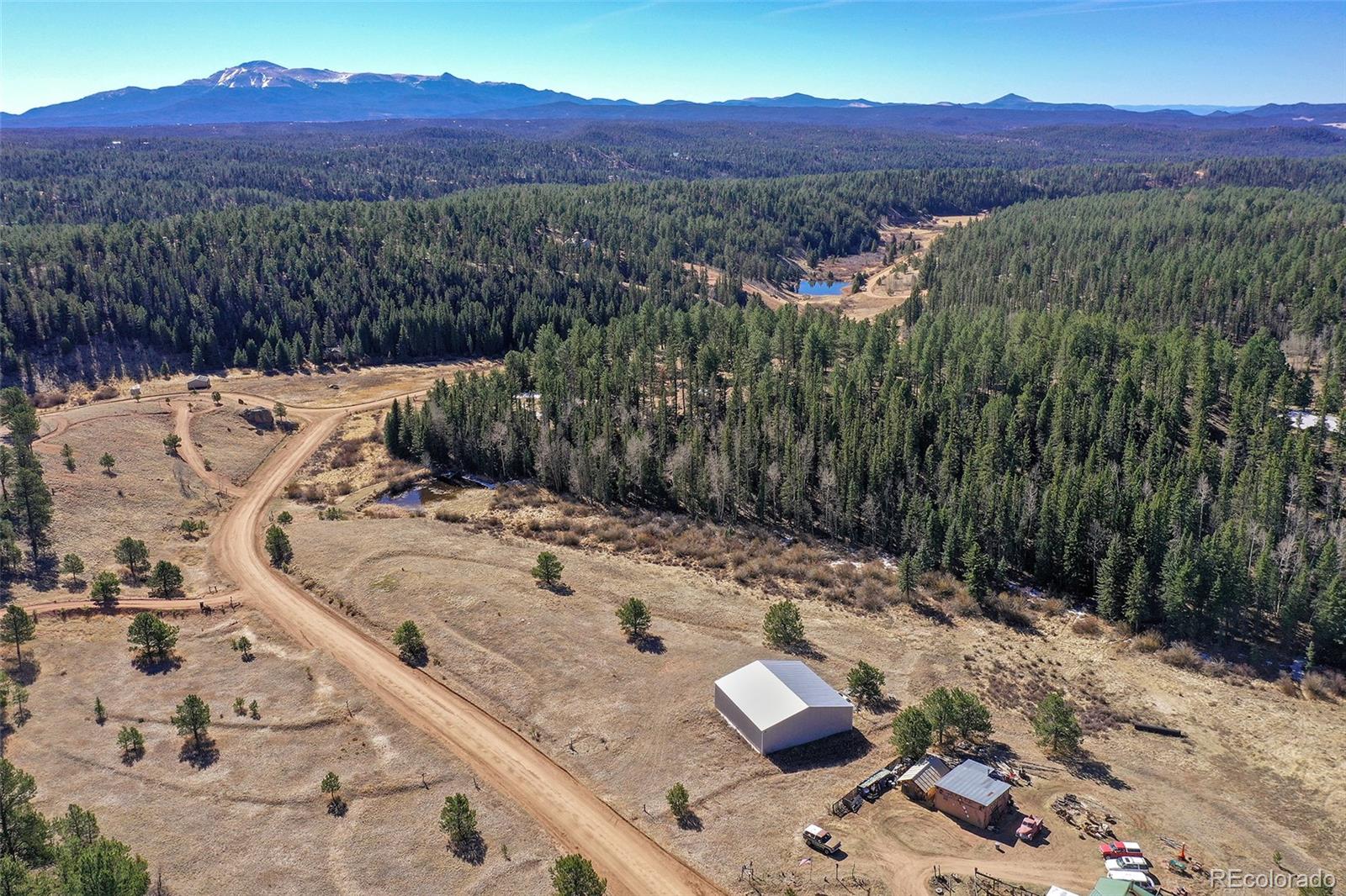 169 Saddleback Creek Drive Florissant CO 80816