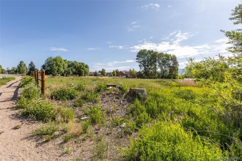 1101 E Ouray Avenue Poncha Springs CO 81242