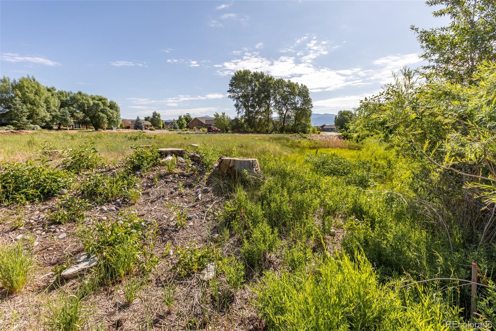 1101 E Ouray Avenue Poncha Springs CO 81242