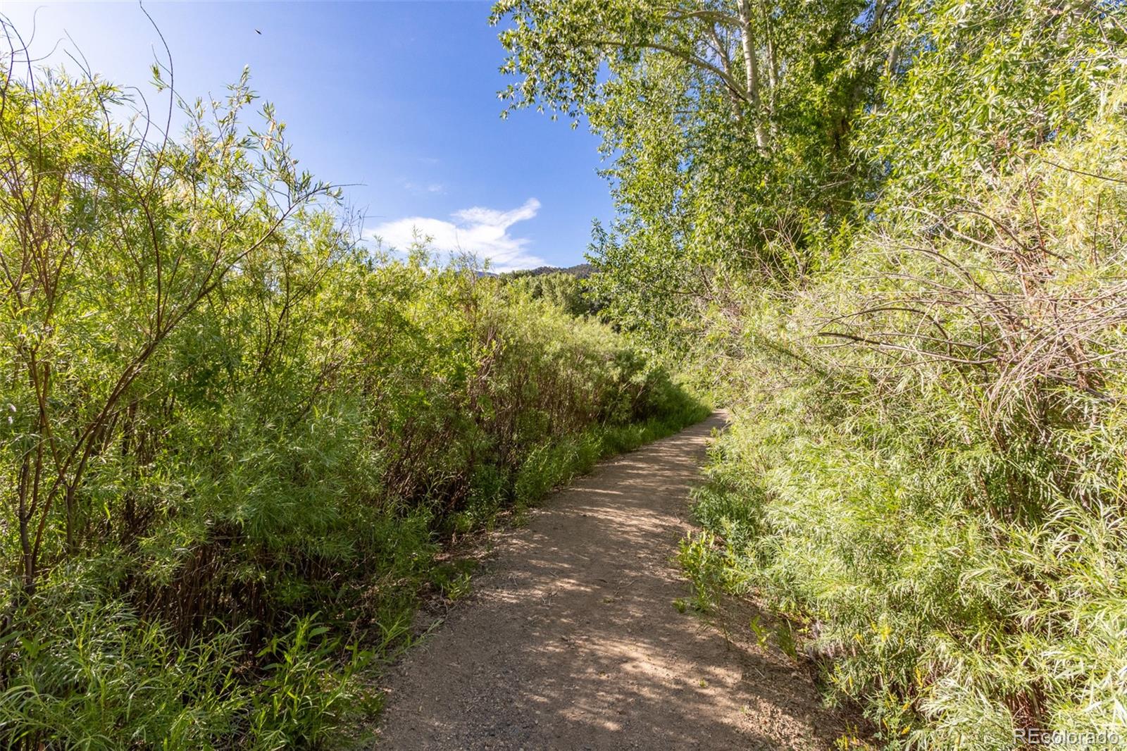 1101 E Ouray Avenue Poncha Springs CO 81242
