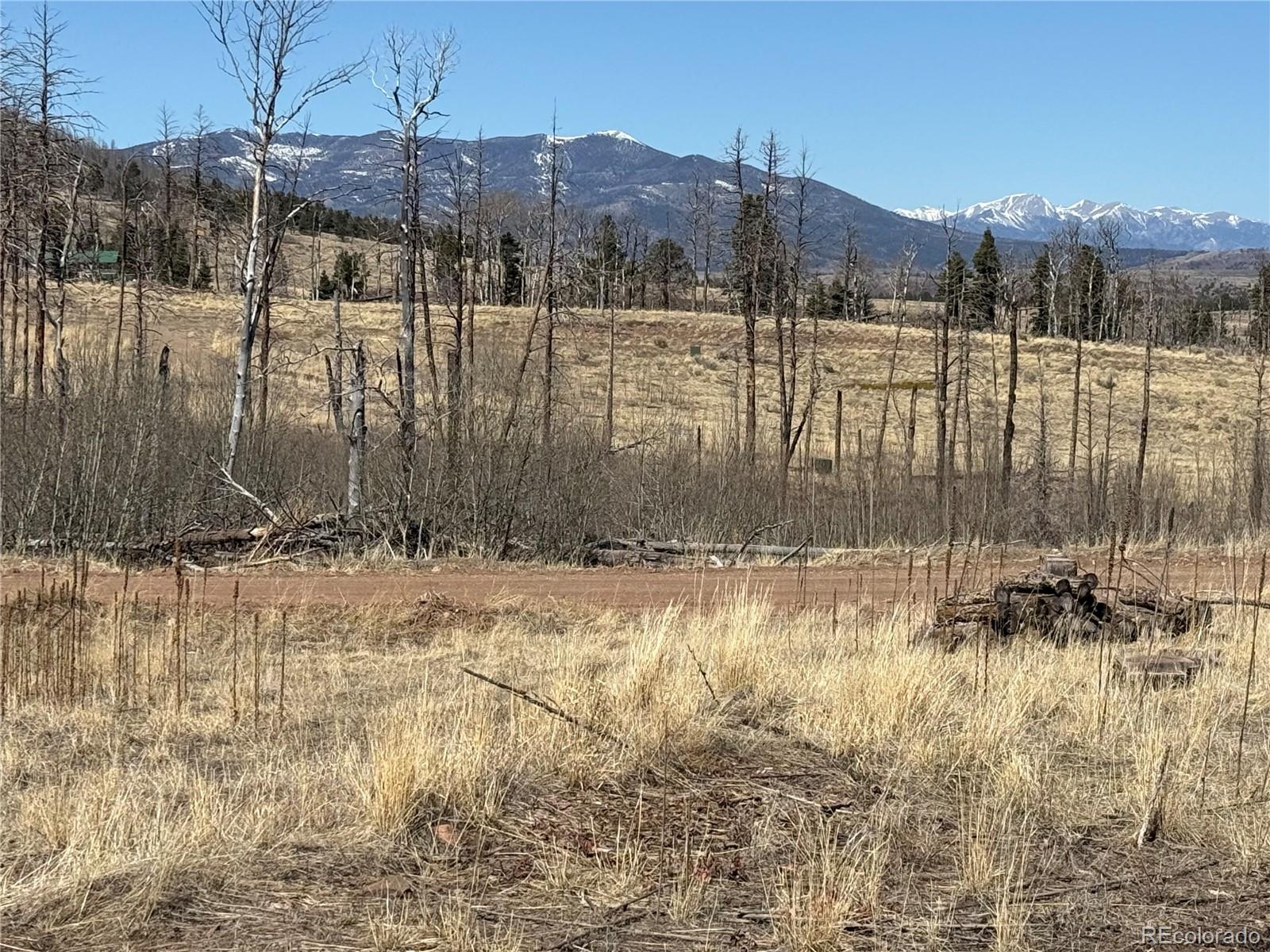 Lot 999 Foy Place Fort Garland CO 81133