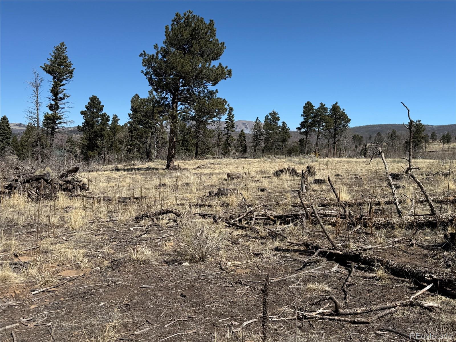 Lot 999 Foy Place Fort Garland CO 81133