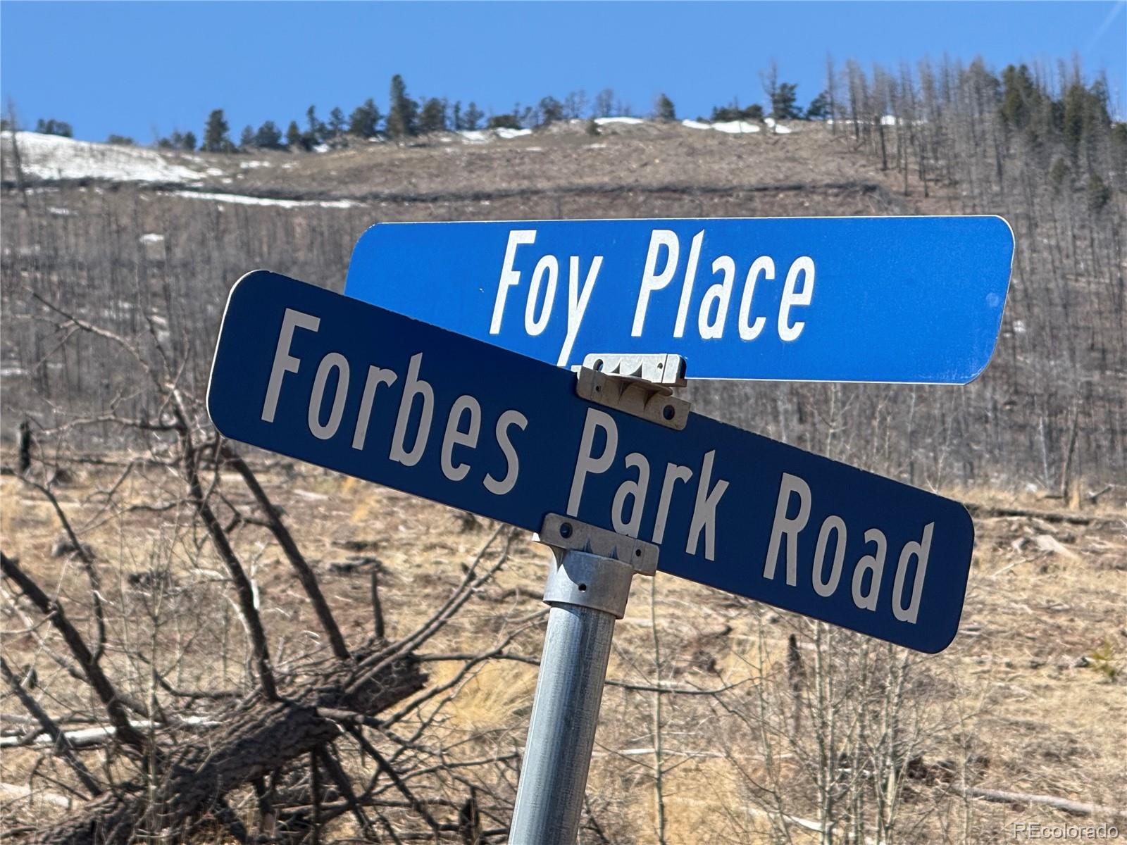 Lot 999 Foy Place Fort Garland CO 81133
