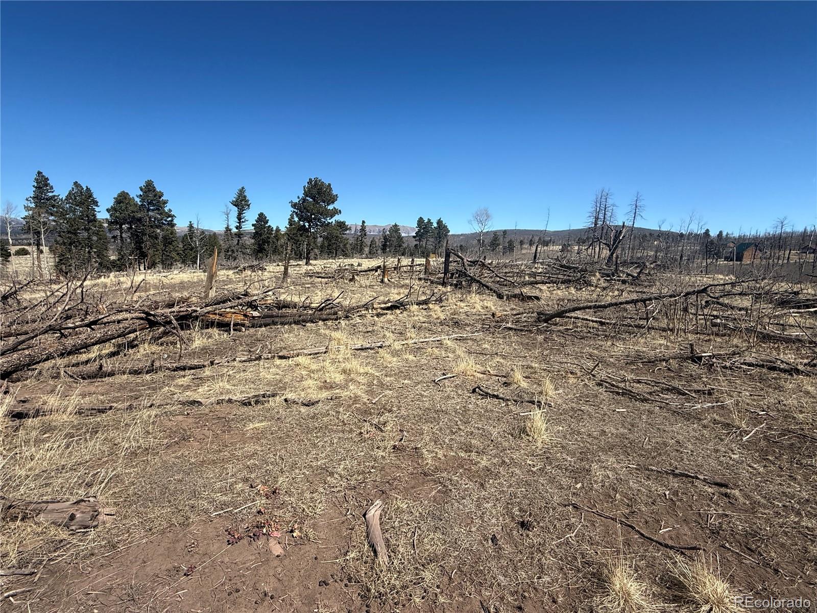 Lot 999 Foy Place Fort Garland CO 81133