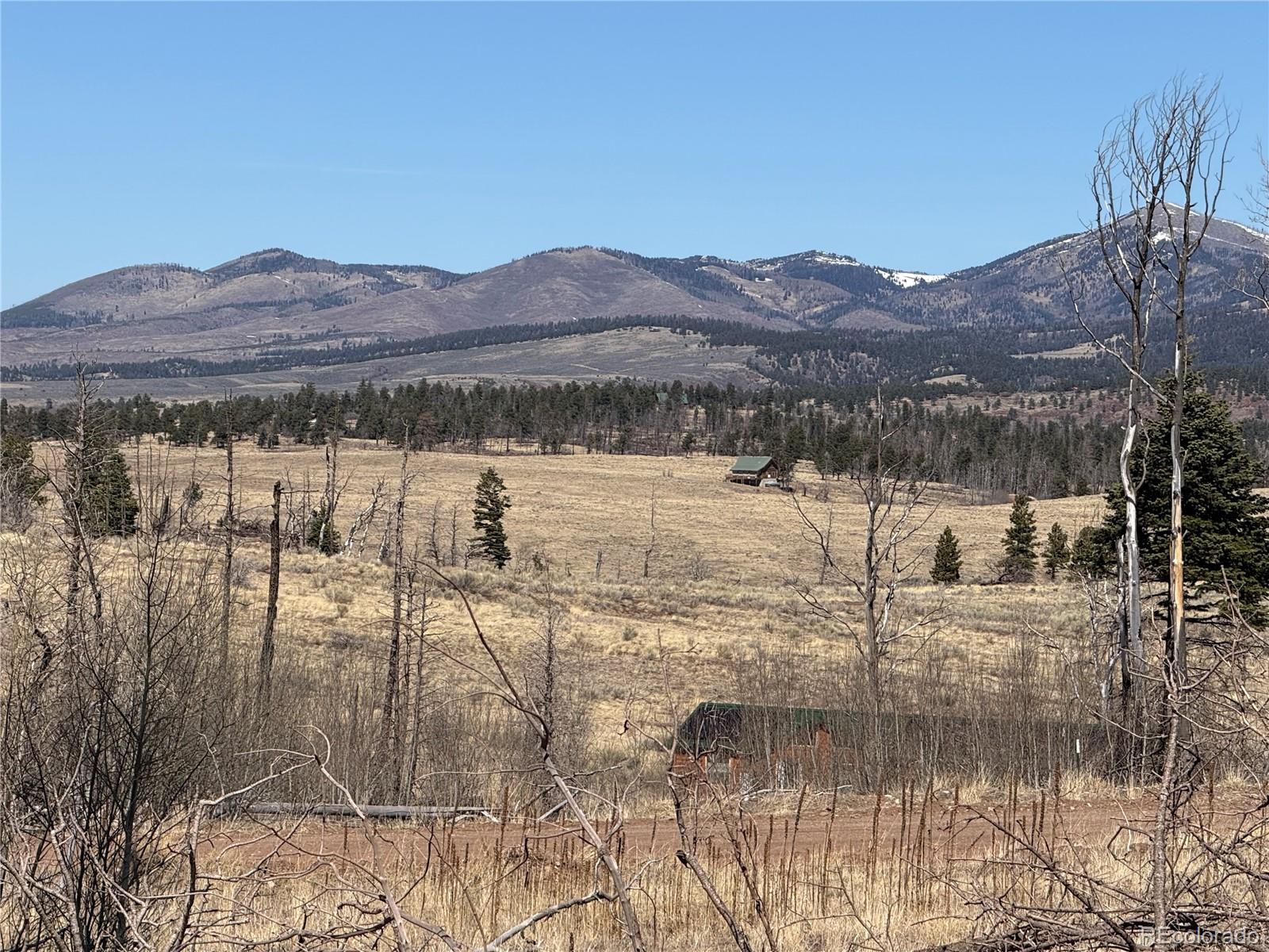 Lot 999 Foy Place Fort Garland CO 81133