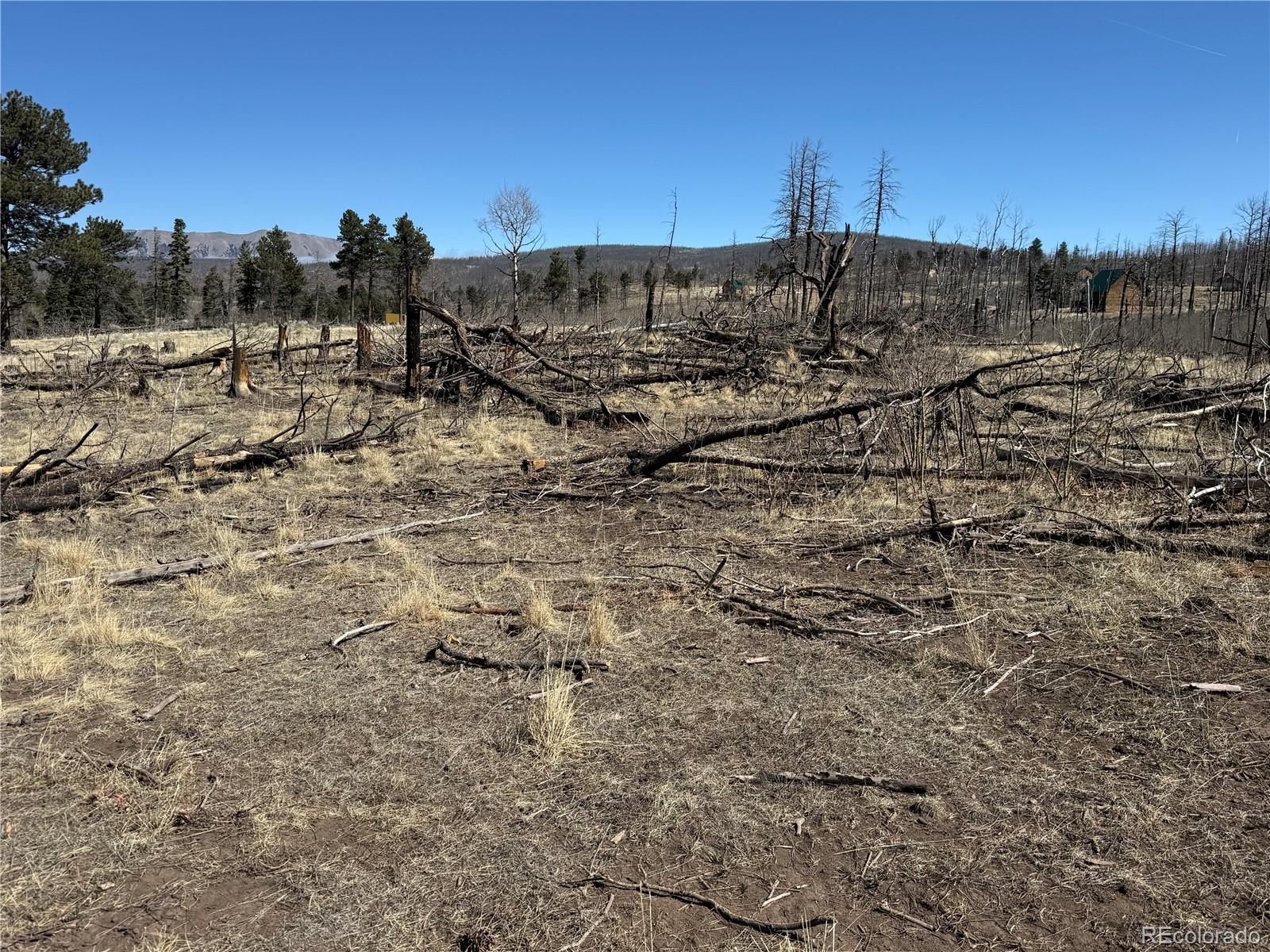 Lot 999 Foy Place Fort Garland CO 81133