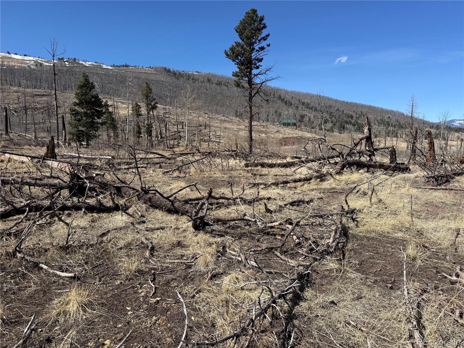 Lot 999 Foy Place Fort Garland CO 81133