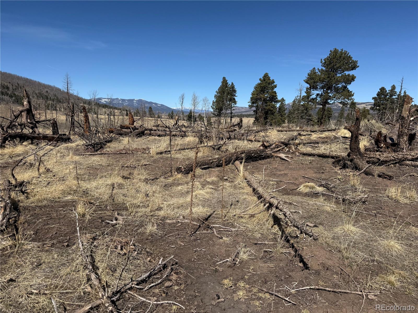 Lot 999 Foy Place Fort Garland CO 81133