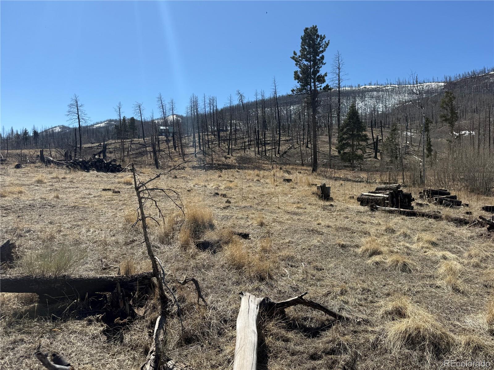 Lot 999 Foy Place Fort Garland CO 81133