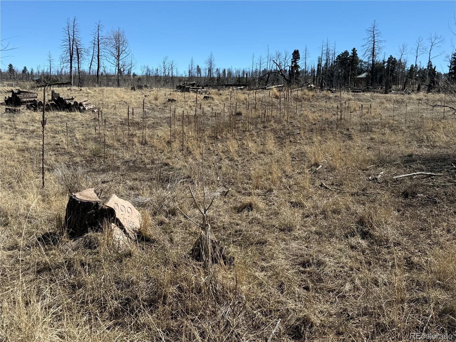 Lot 999 Foy Place Fort Garland CO 81133