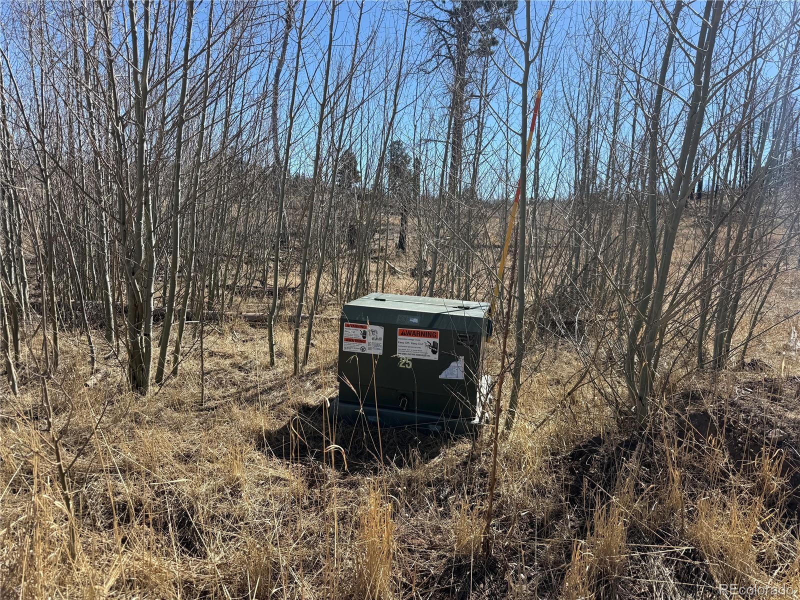 Lot 999 Foy Place Fort Garland CO 81133