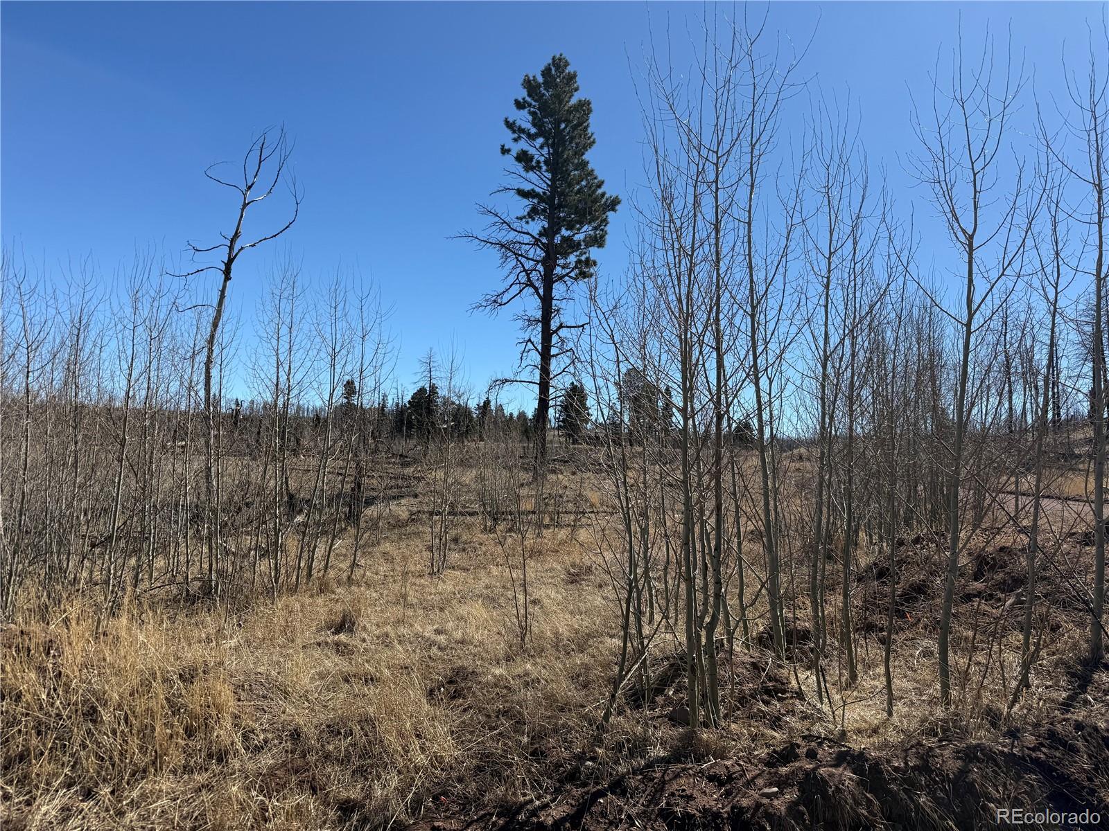 Lot 999 Foy Place Fort Garland CO 81133