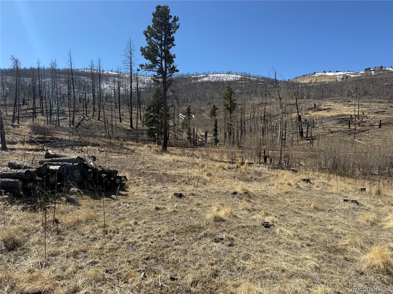 Lot 999 Foy Place Fort Garland CO 81133