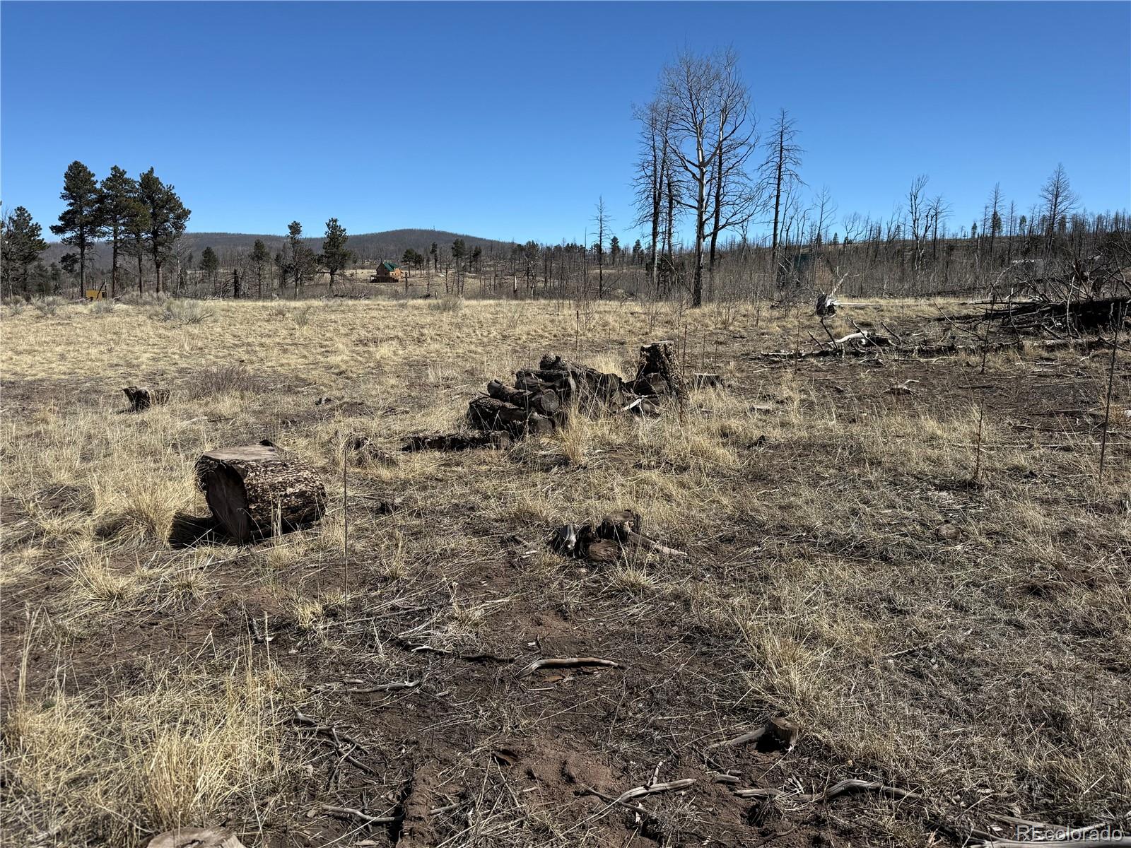 Lot 999 Foy Place Fort Garland CO 81133