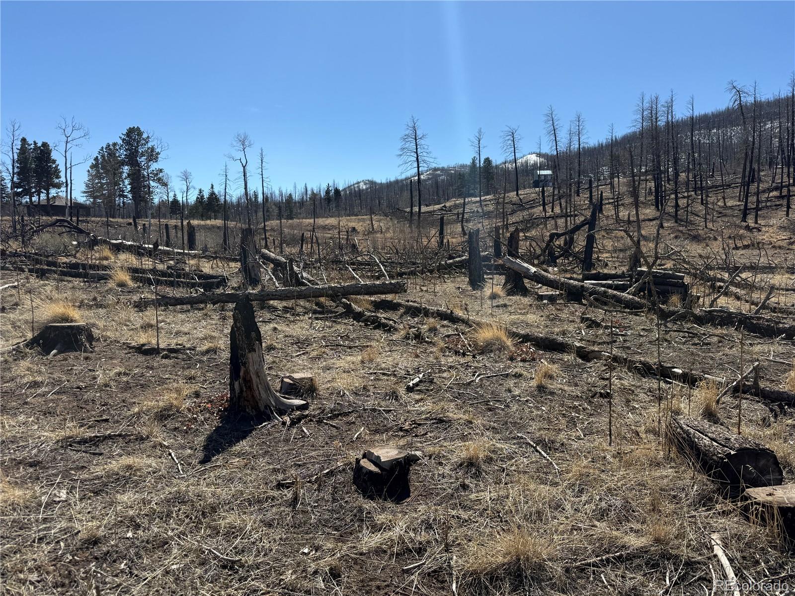 Lot 999 Foy Place Fort Garland CO 81133