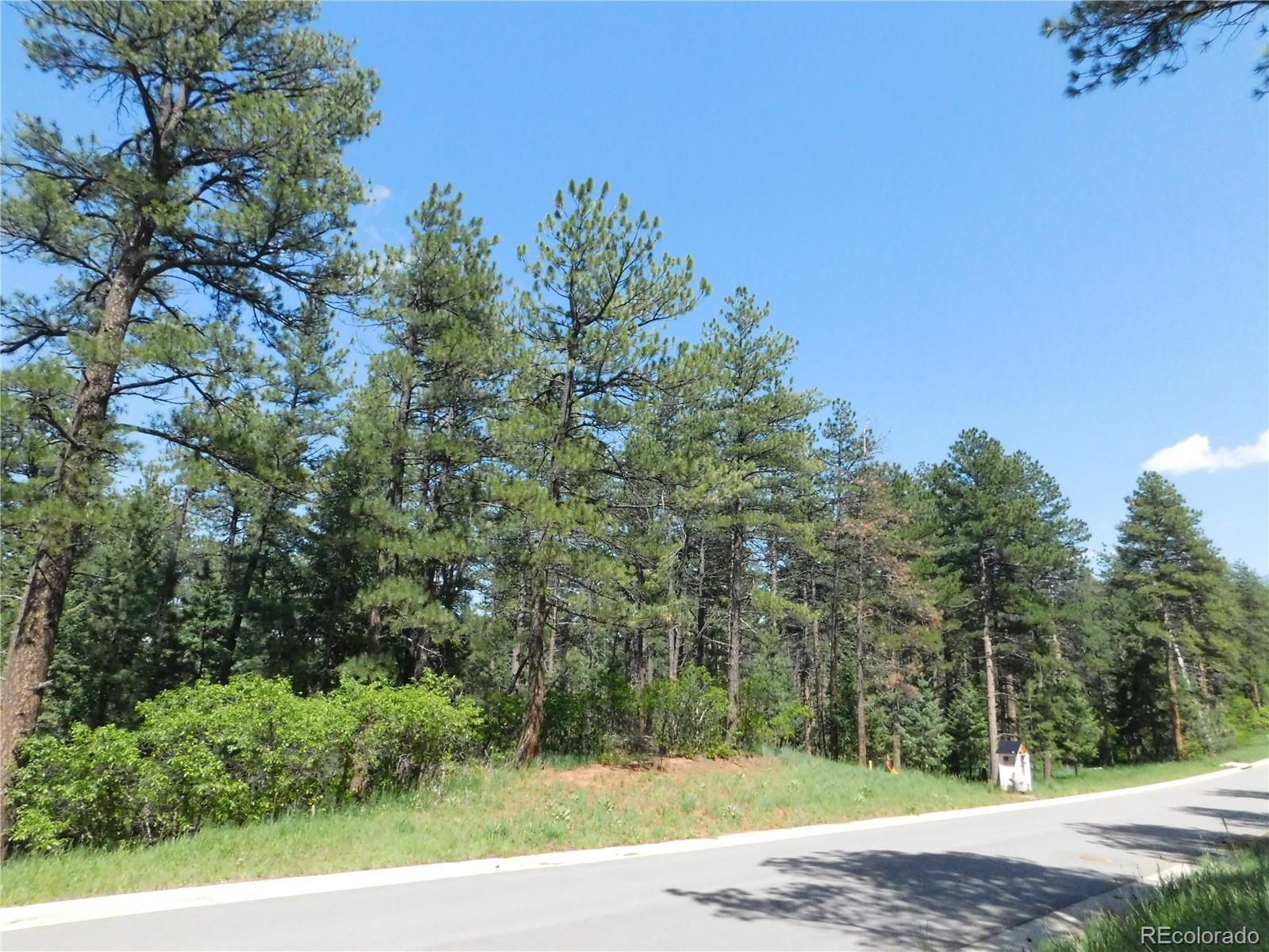 8118 Bannock Drive Larkspur CO 80118