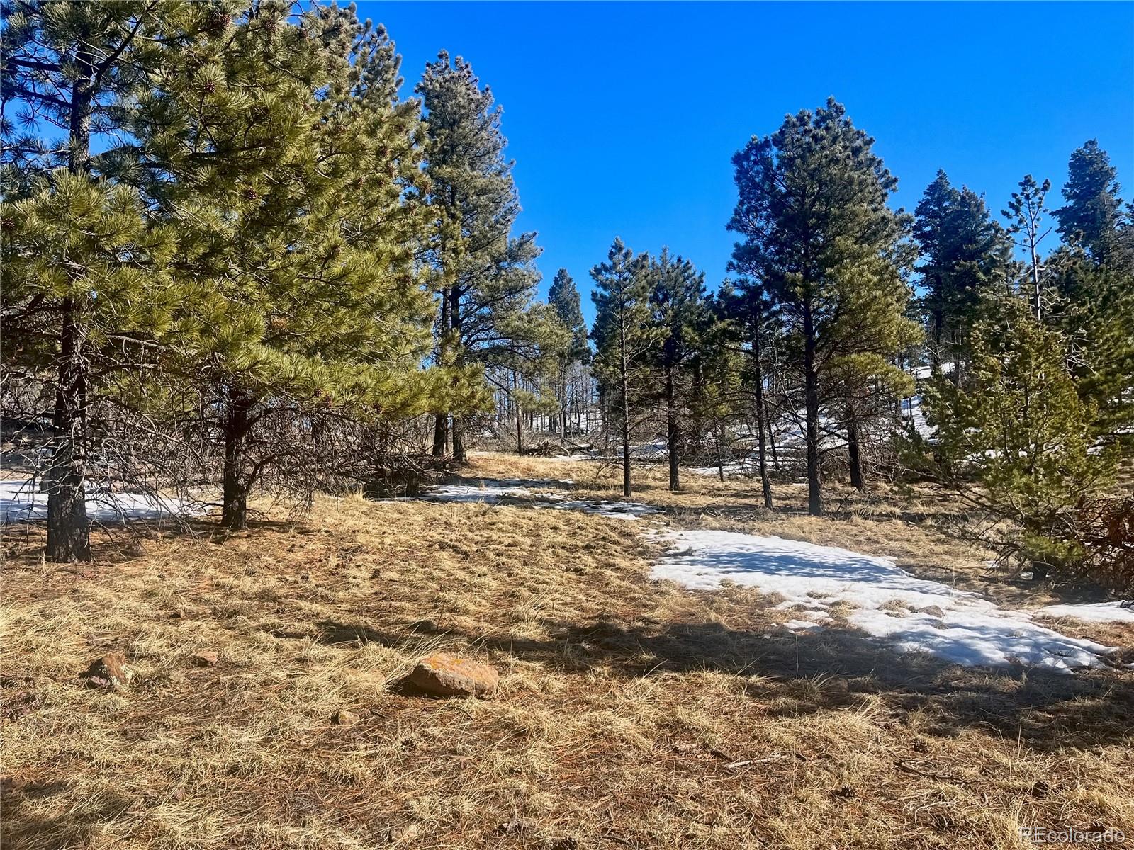 277 Forbes Park Road Fort Garland CO 81133