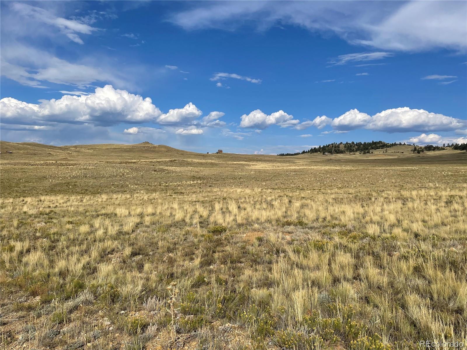 000 Athapascan Road Hartsel CO 80449