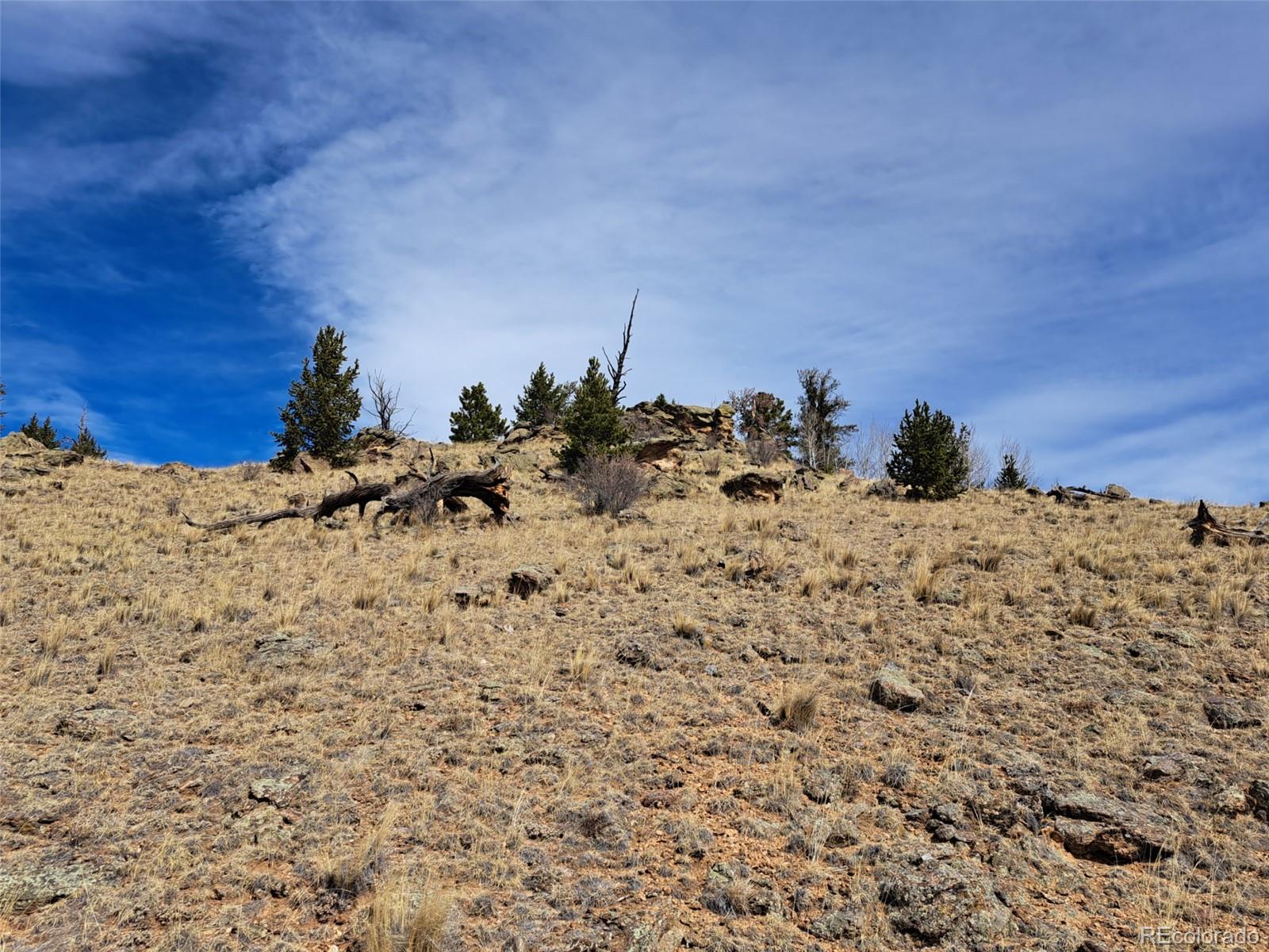 3646 Remington Road Como CO 80432