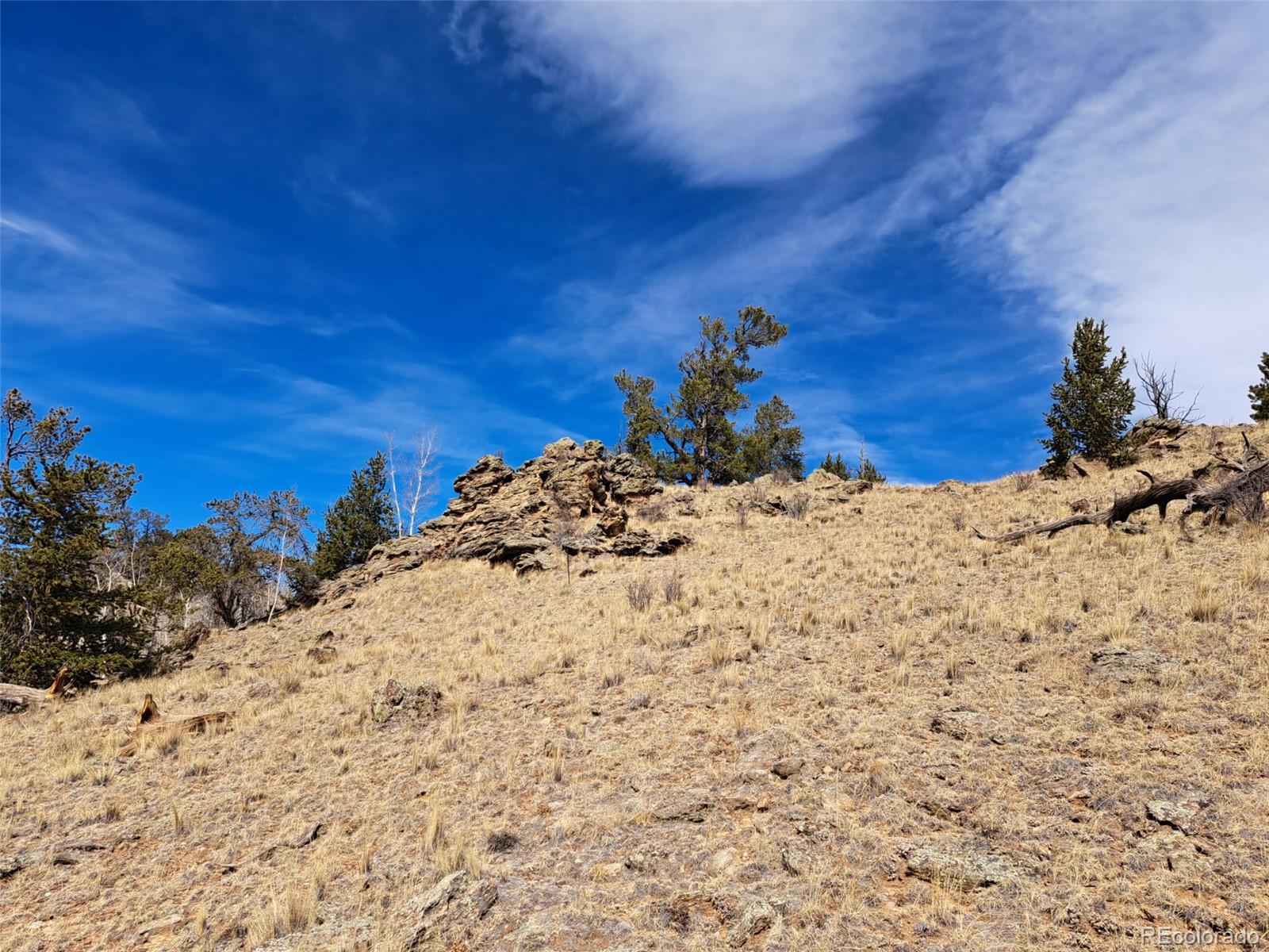 3646 Remington Road Como CO 80432