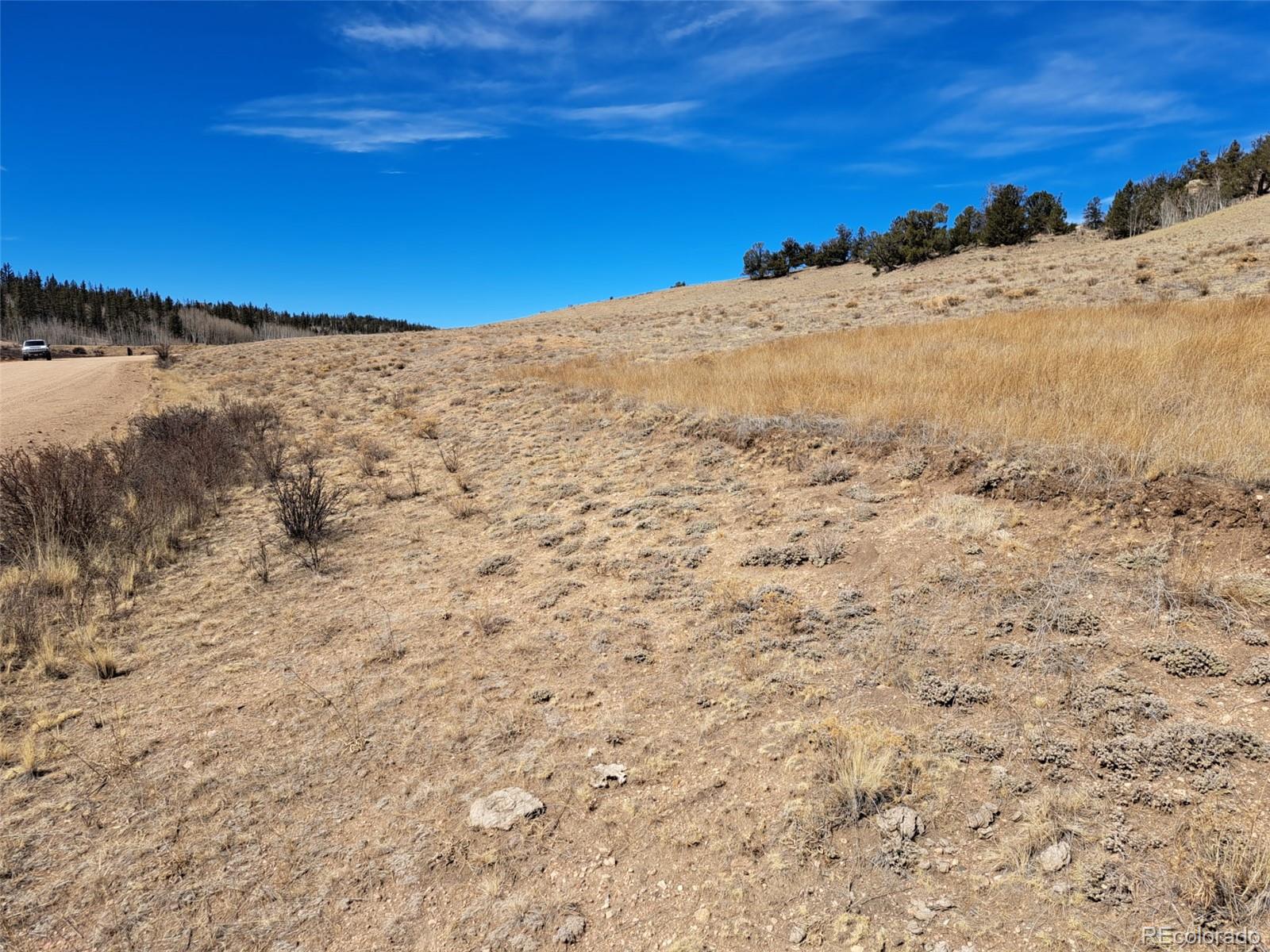 3646 Remington Road Como CO 80432