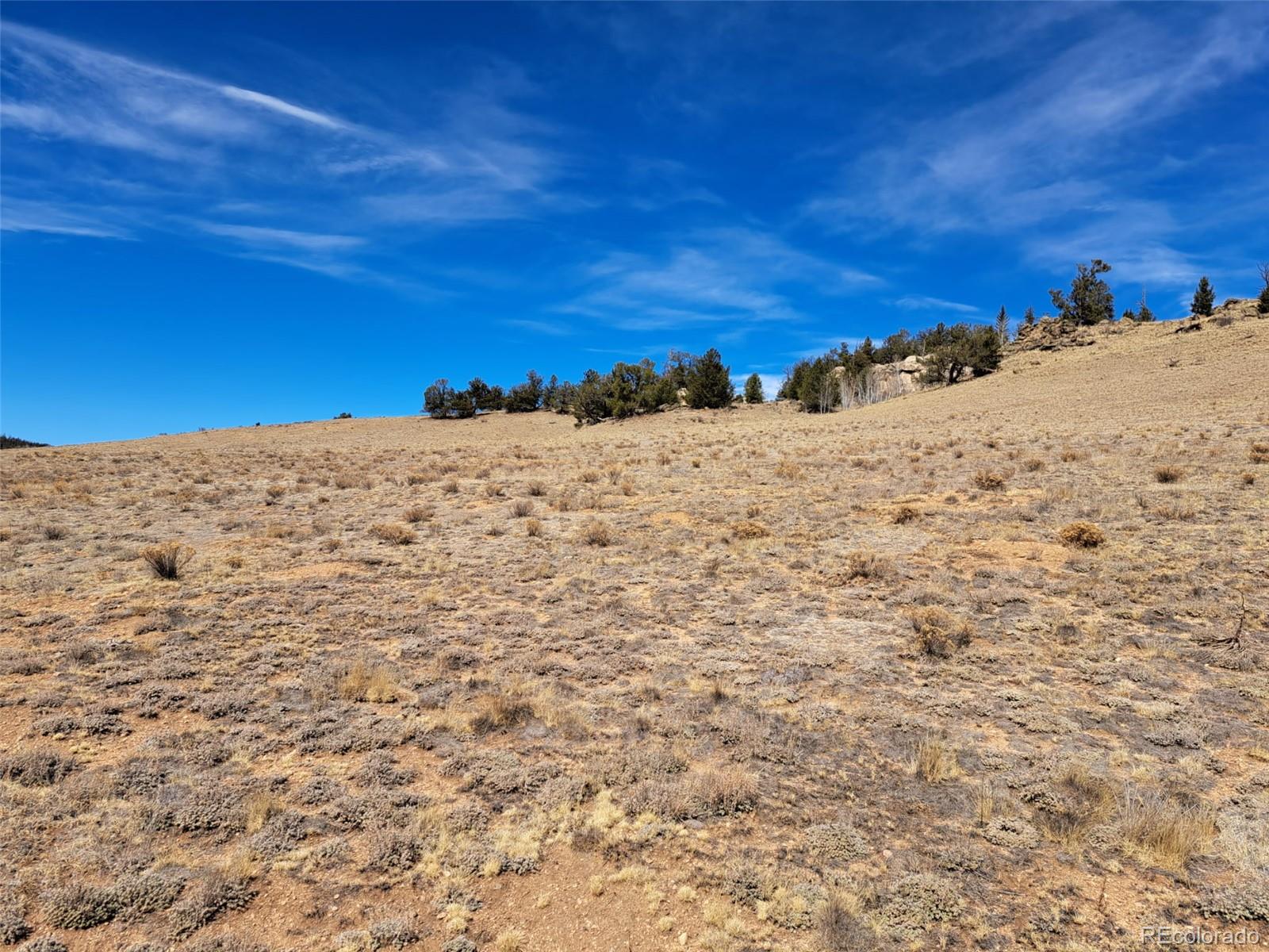3646 Remington Road Como CO 80432